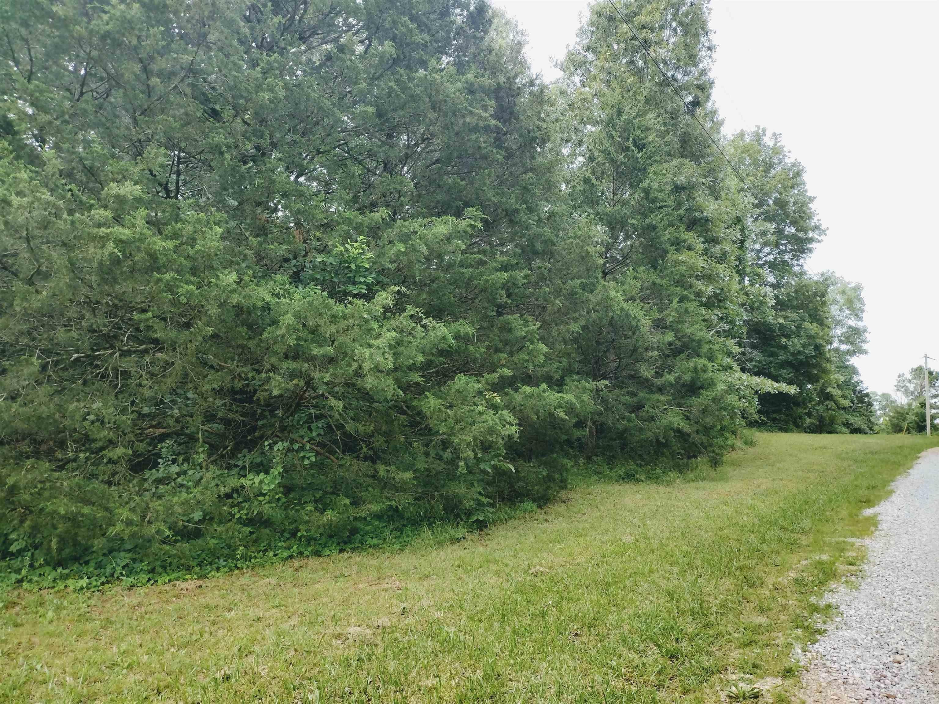 0 Little Pond Rd  Mountain View, AR