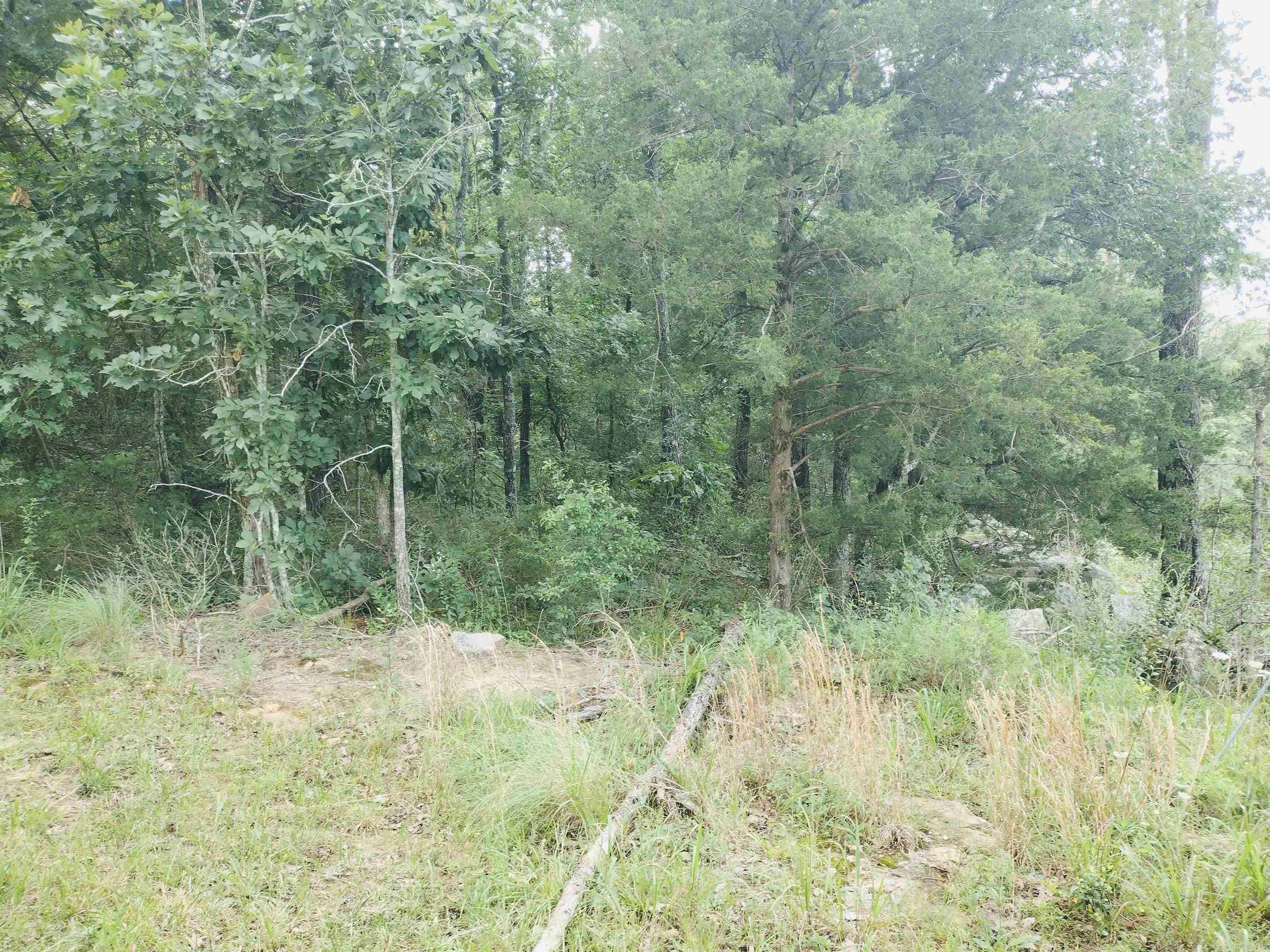 0 Little Pond Rd  Mountain View, AR