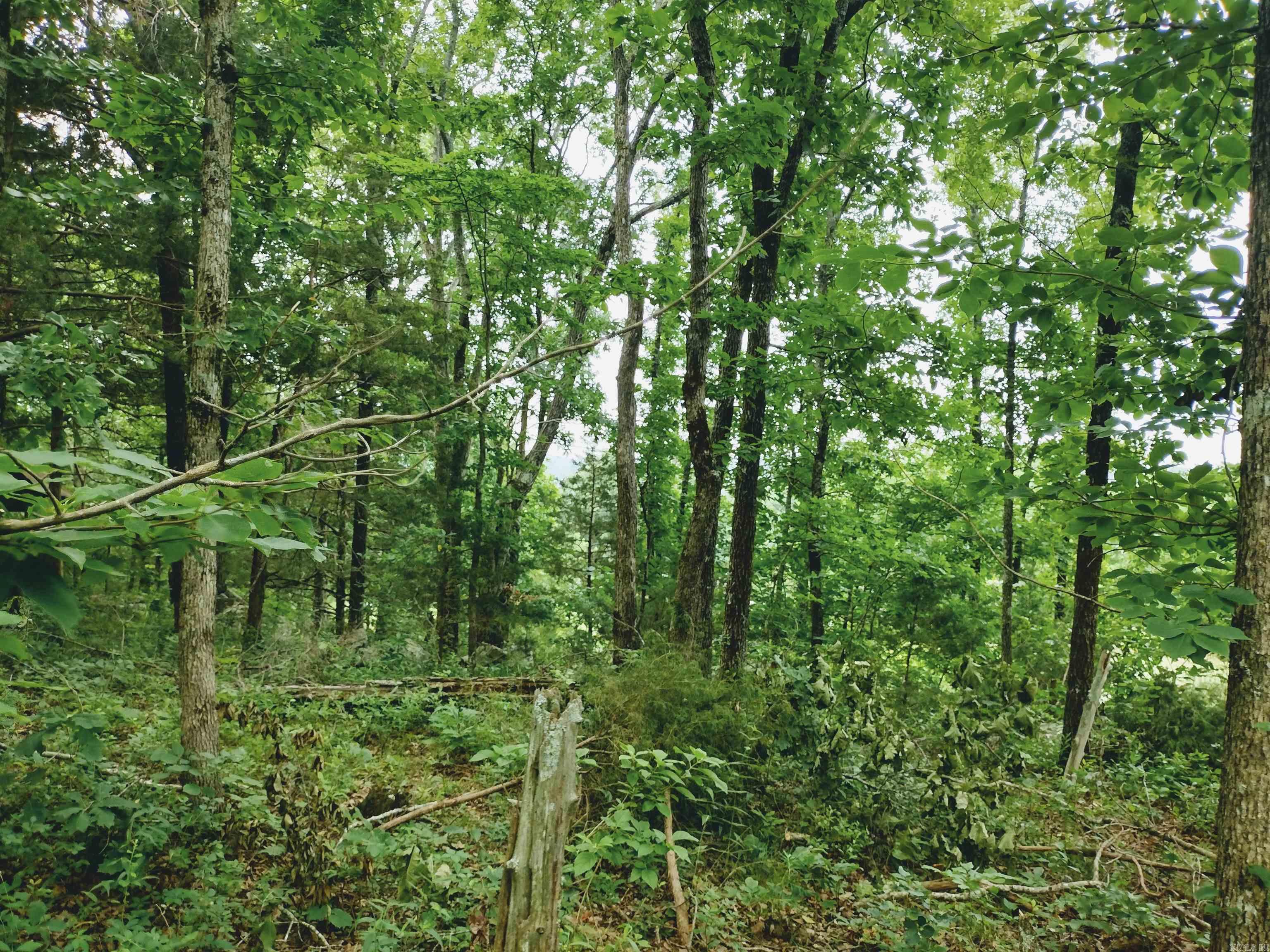 0 Little Pond Rd  Mountain View, AR