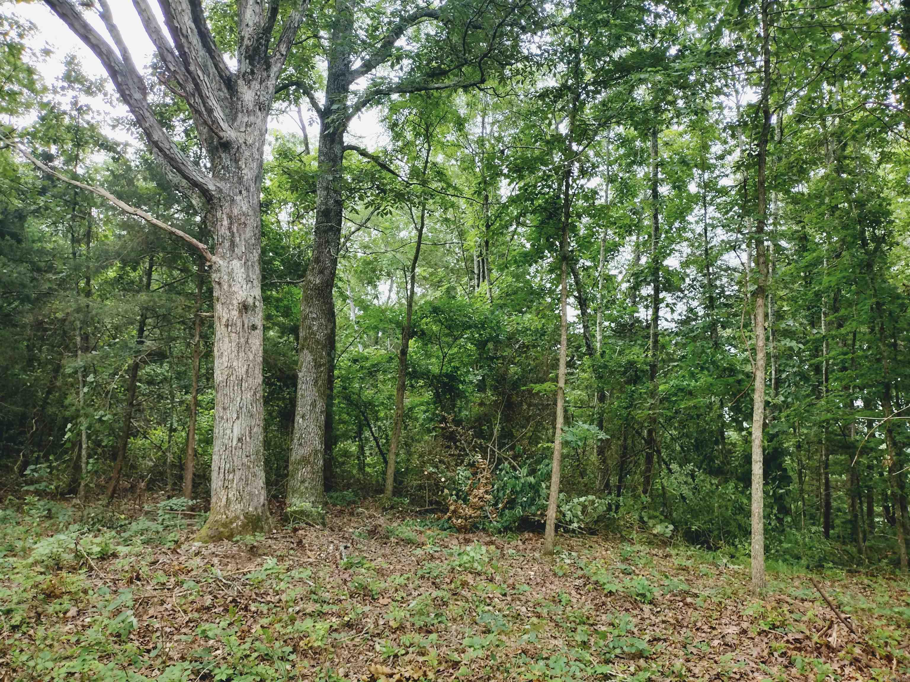 0 Little Pond Rd  Mountain View, AR