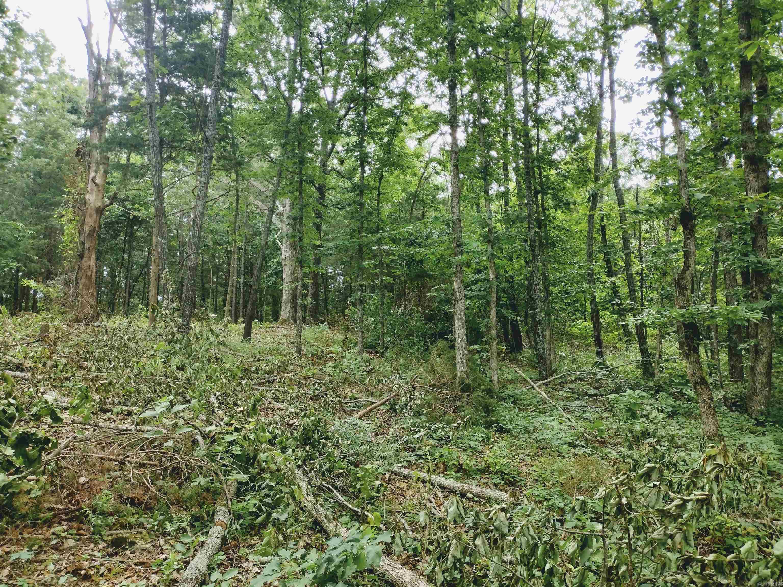 0 Little Pond Rd  Mountain View, AR