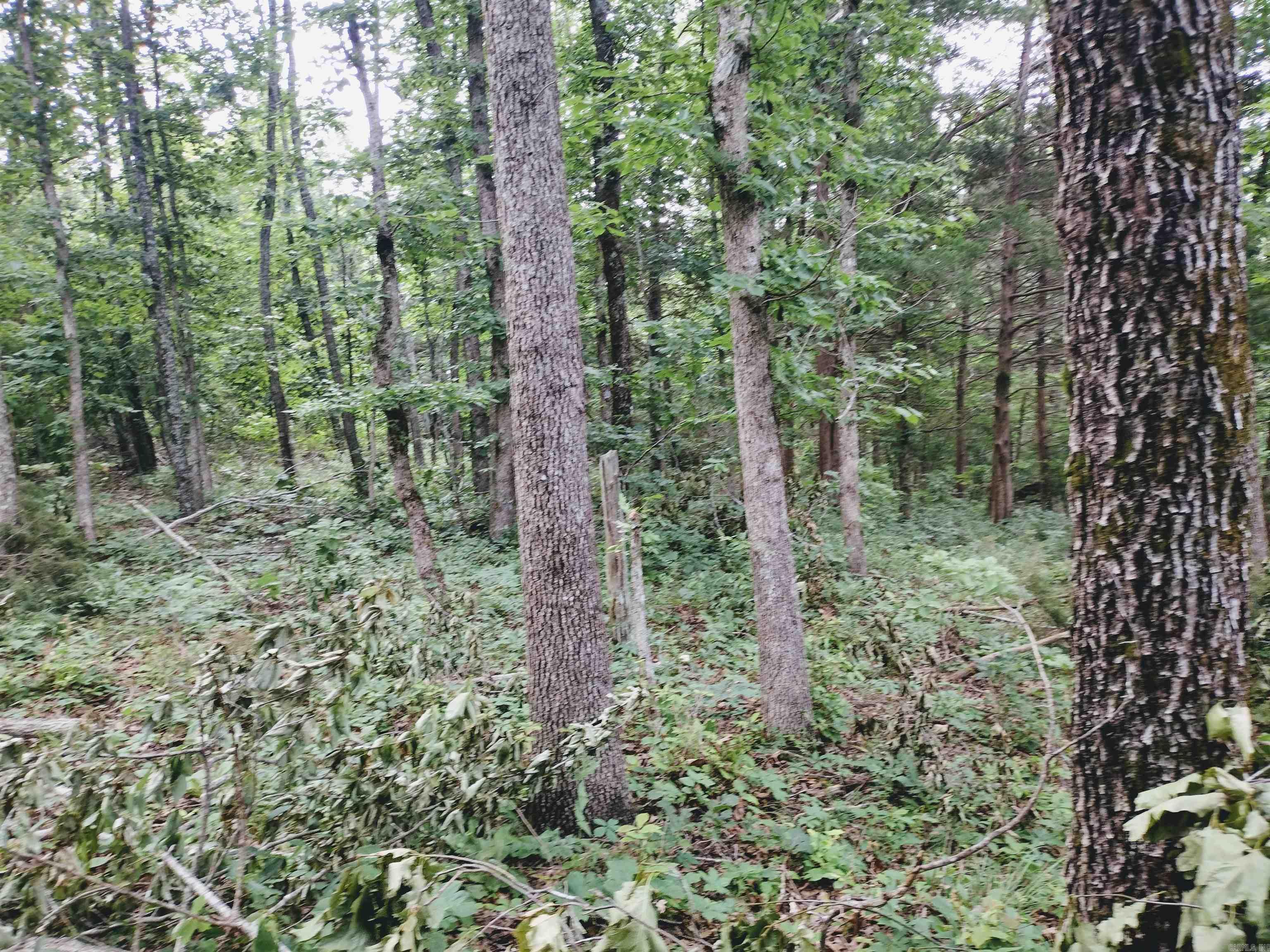 0 Little Pond Rd  Mountain View, AR