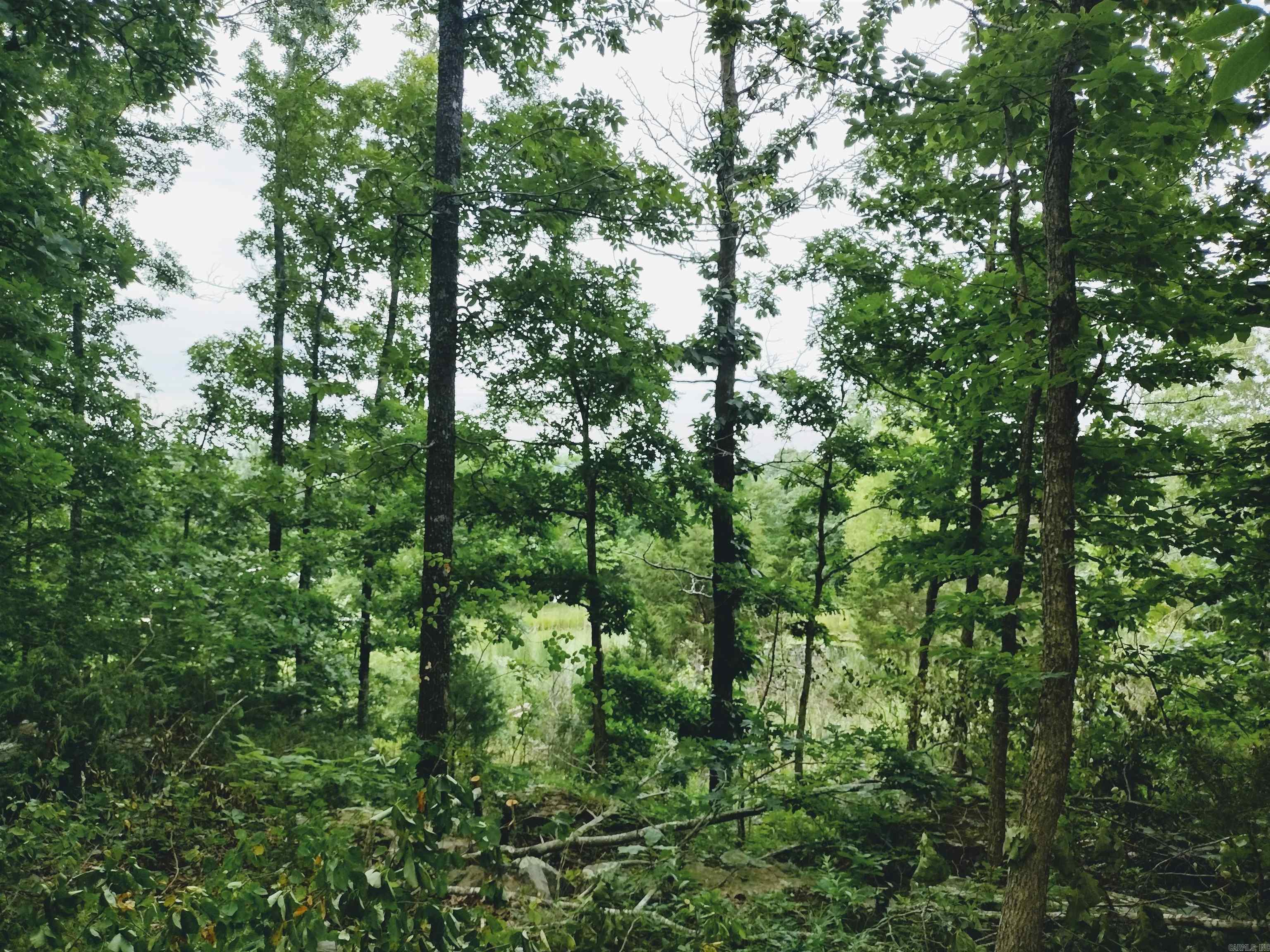 0 Little Pond Rd  Mountain View, AR