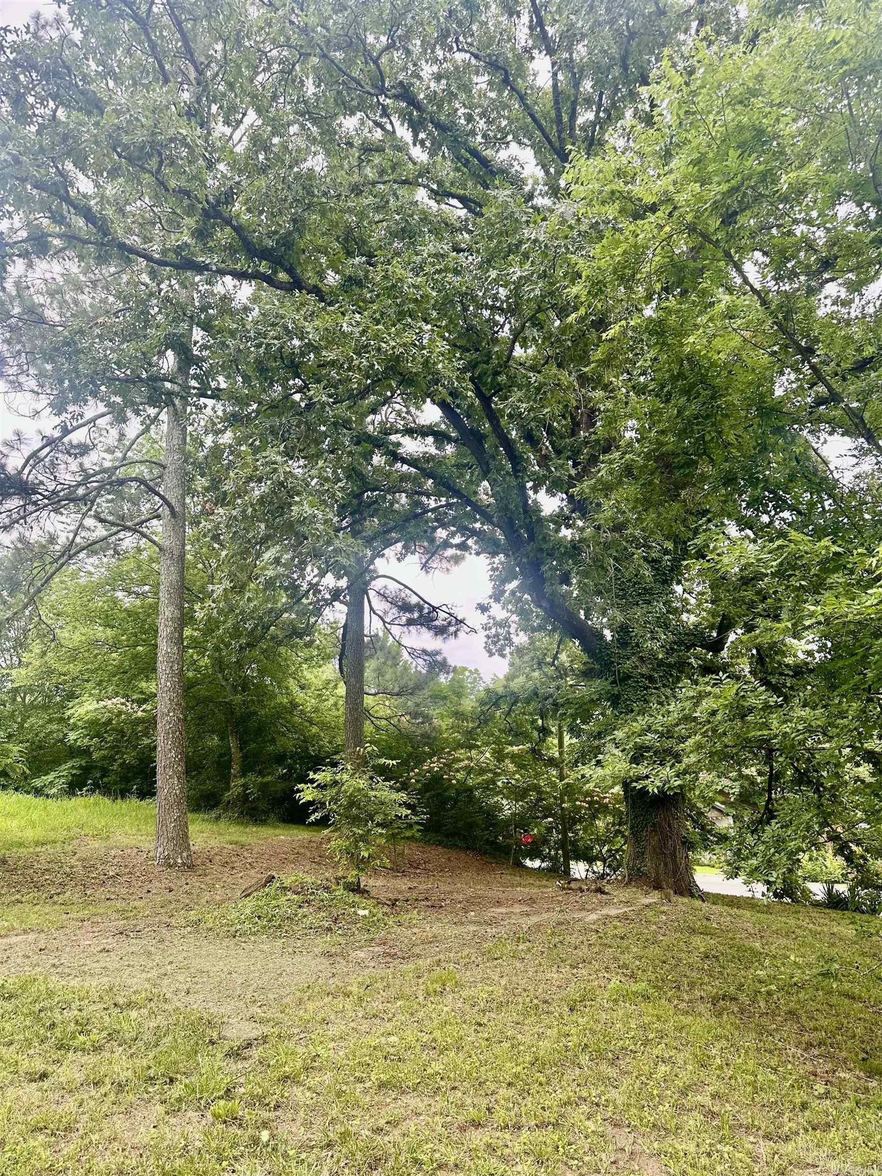 320 S 3rd  Glenwood, AR