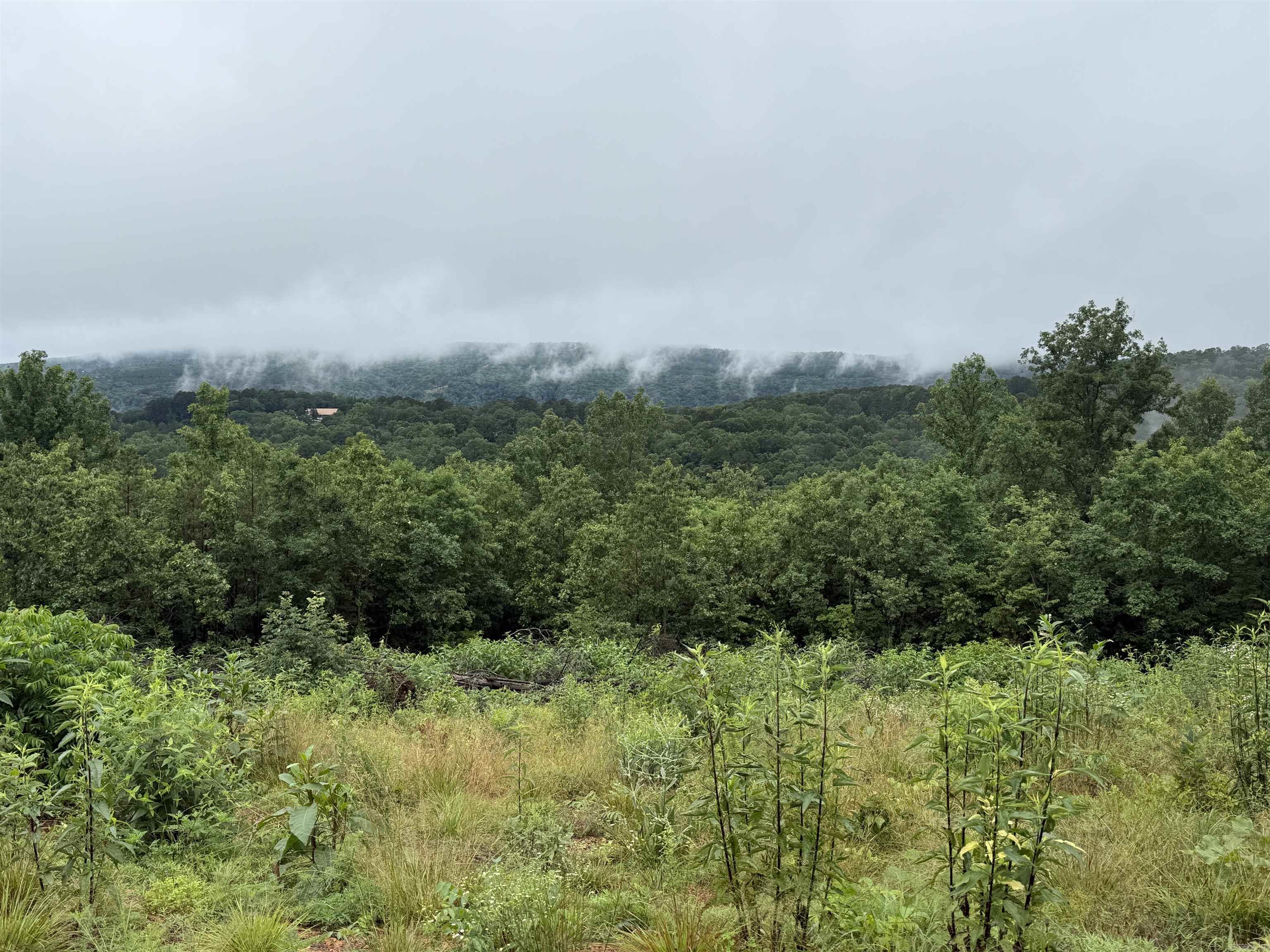 0 Henderson Tract 1 Clinton, AR