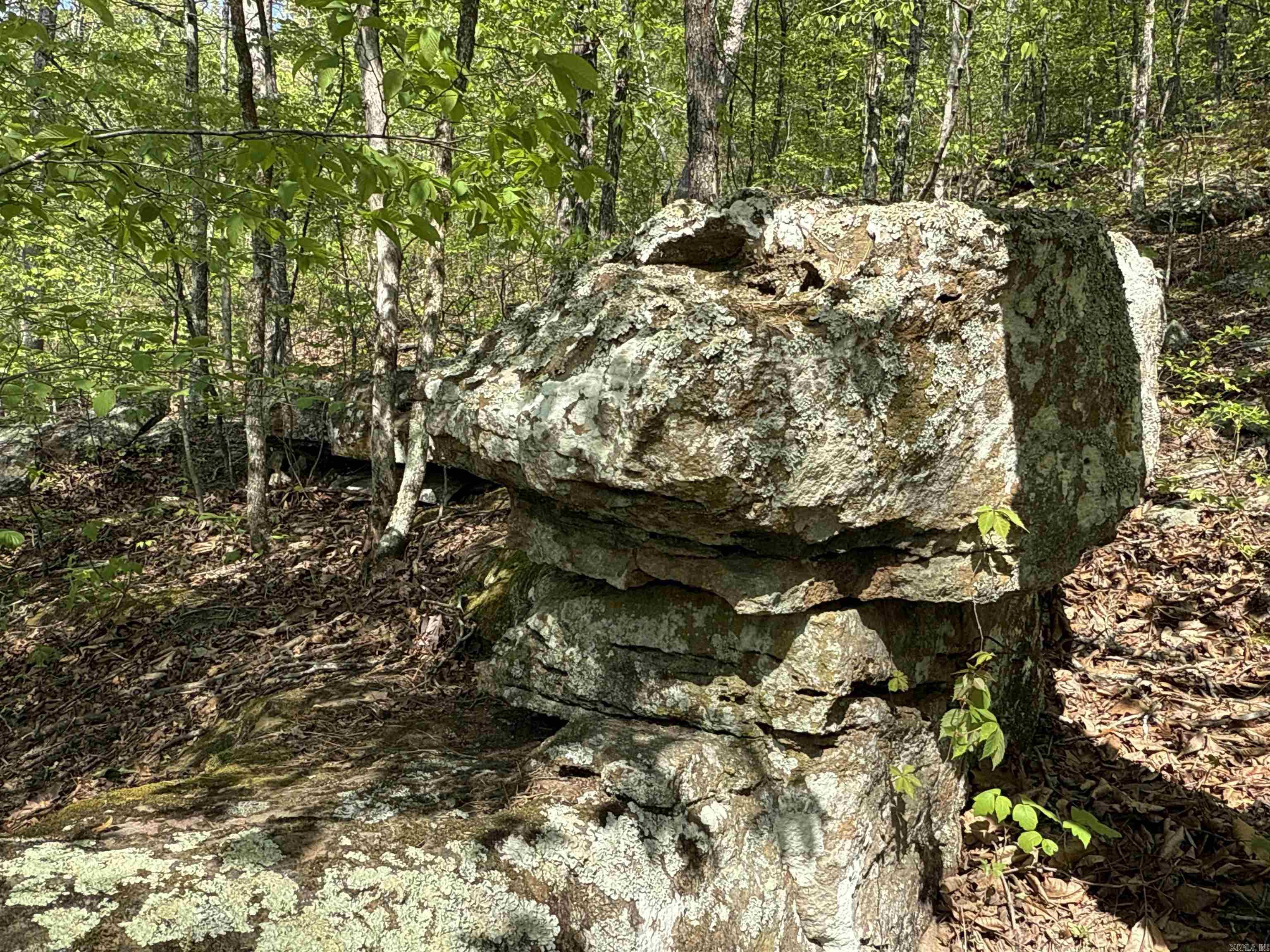 0 Henderson Tract 1 Clinton, AR