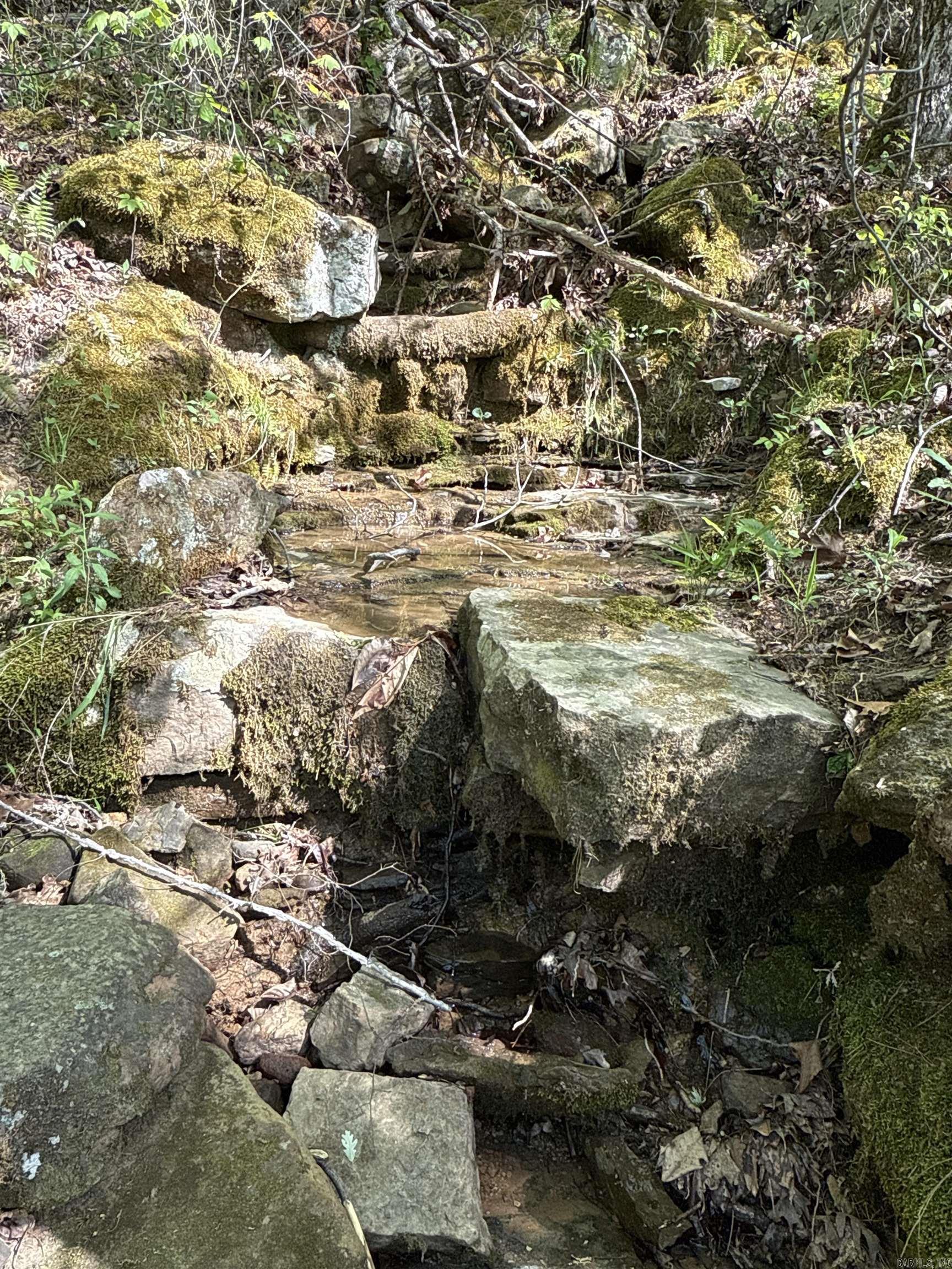 0 Henderson Tract 1 Clinton, AR