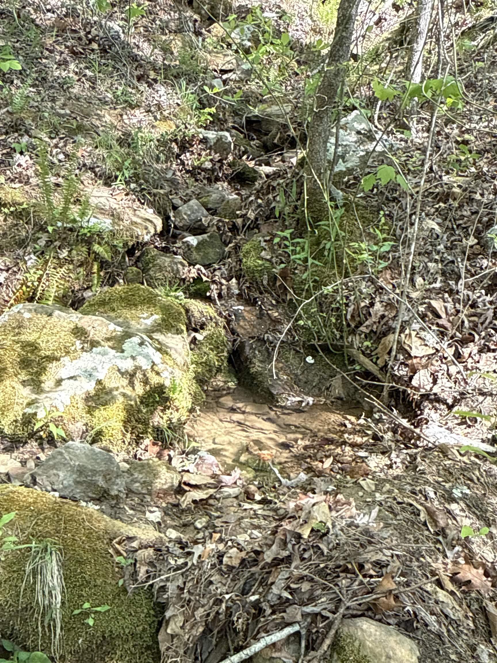 0 Henderson Tract 1 Clinton, AR