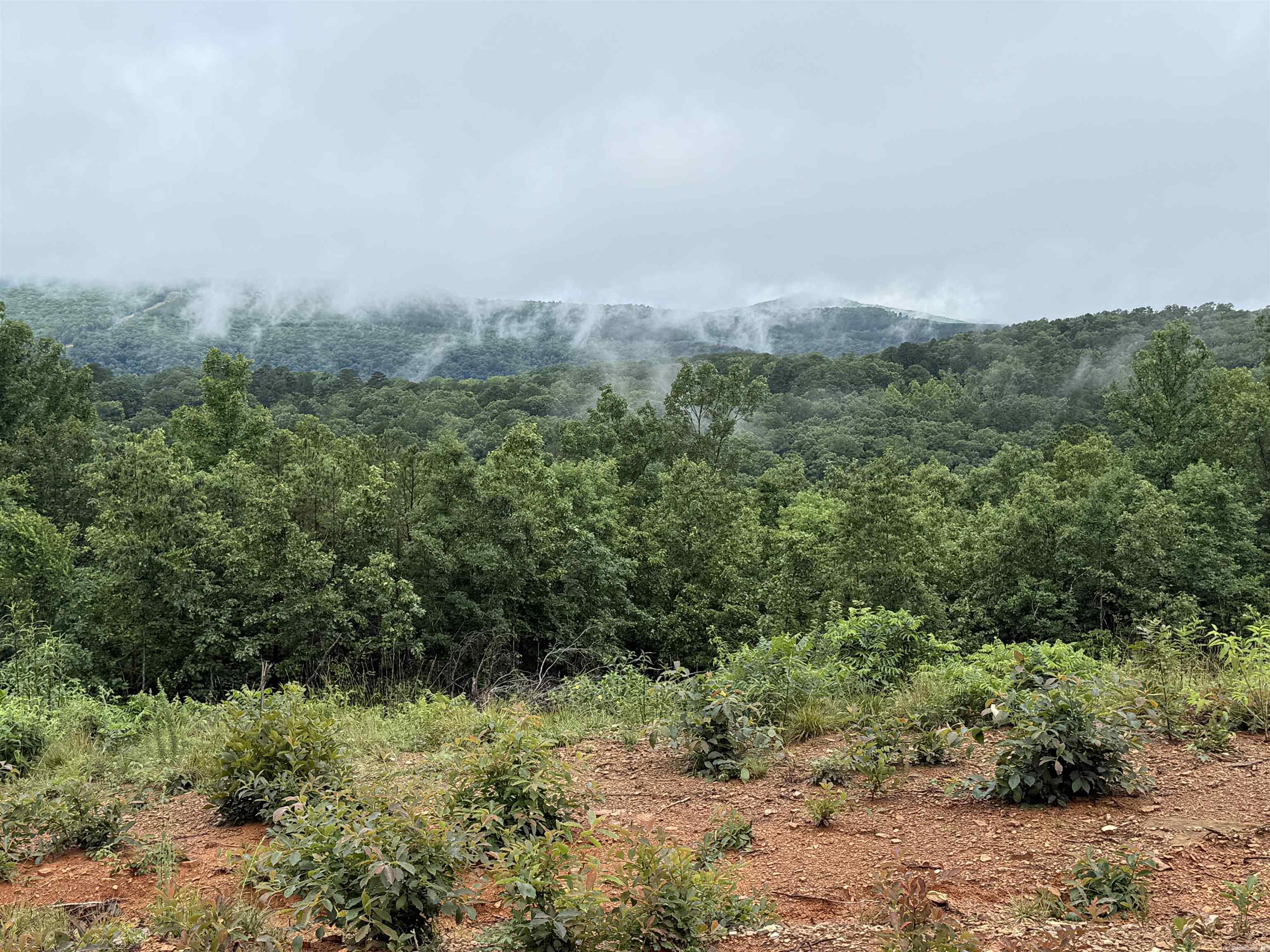 0 Henderson Tract 1 Clinton, AR