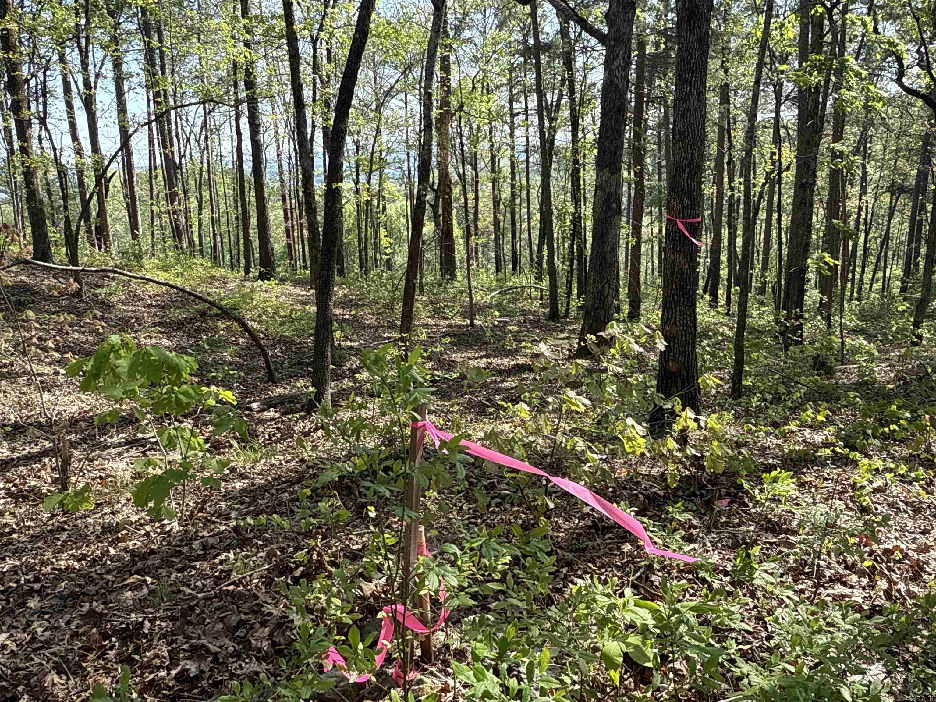 000 Henderson Tract 4 Clinton, AR