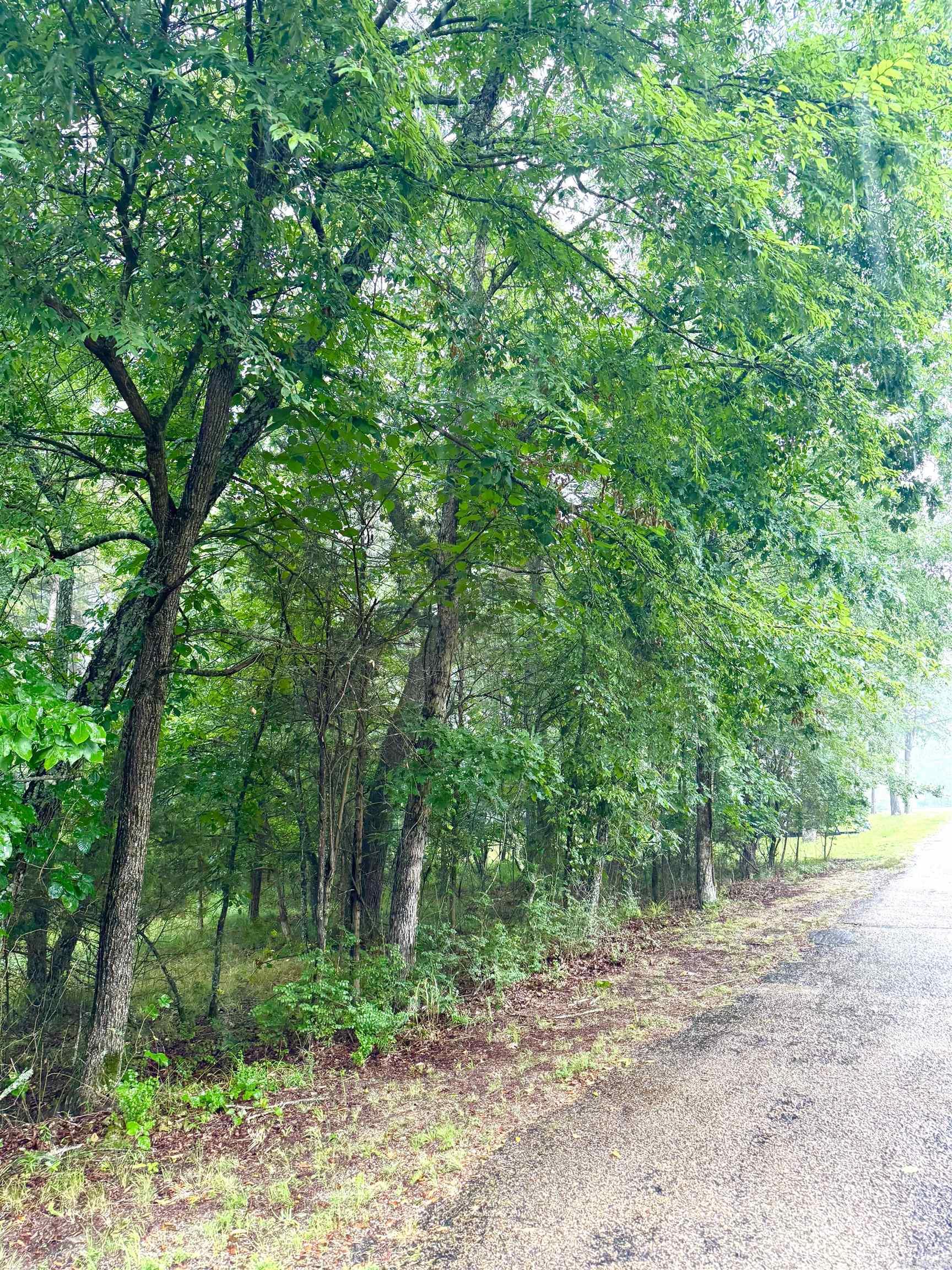 122 Mesa  Hot Springs National Park, AR