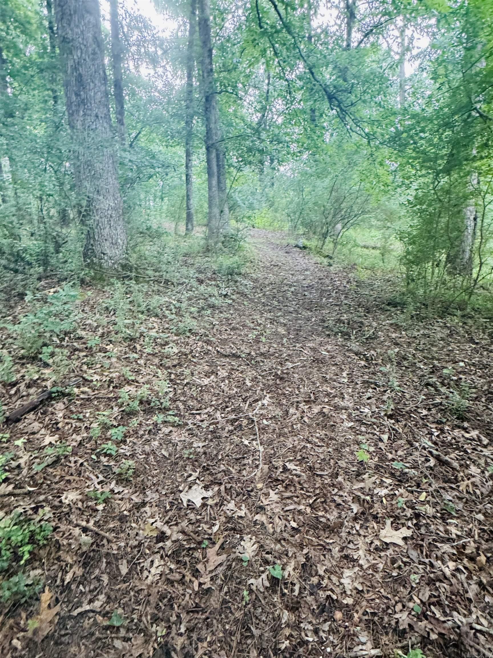 122 Mesa  Hot Springs National Park, AR