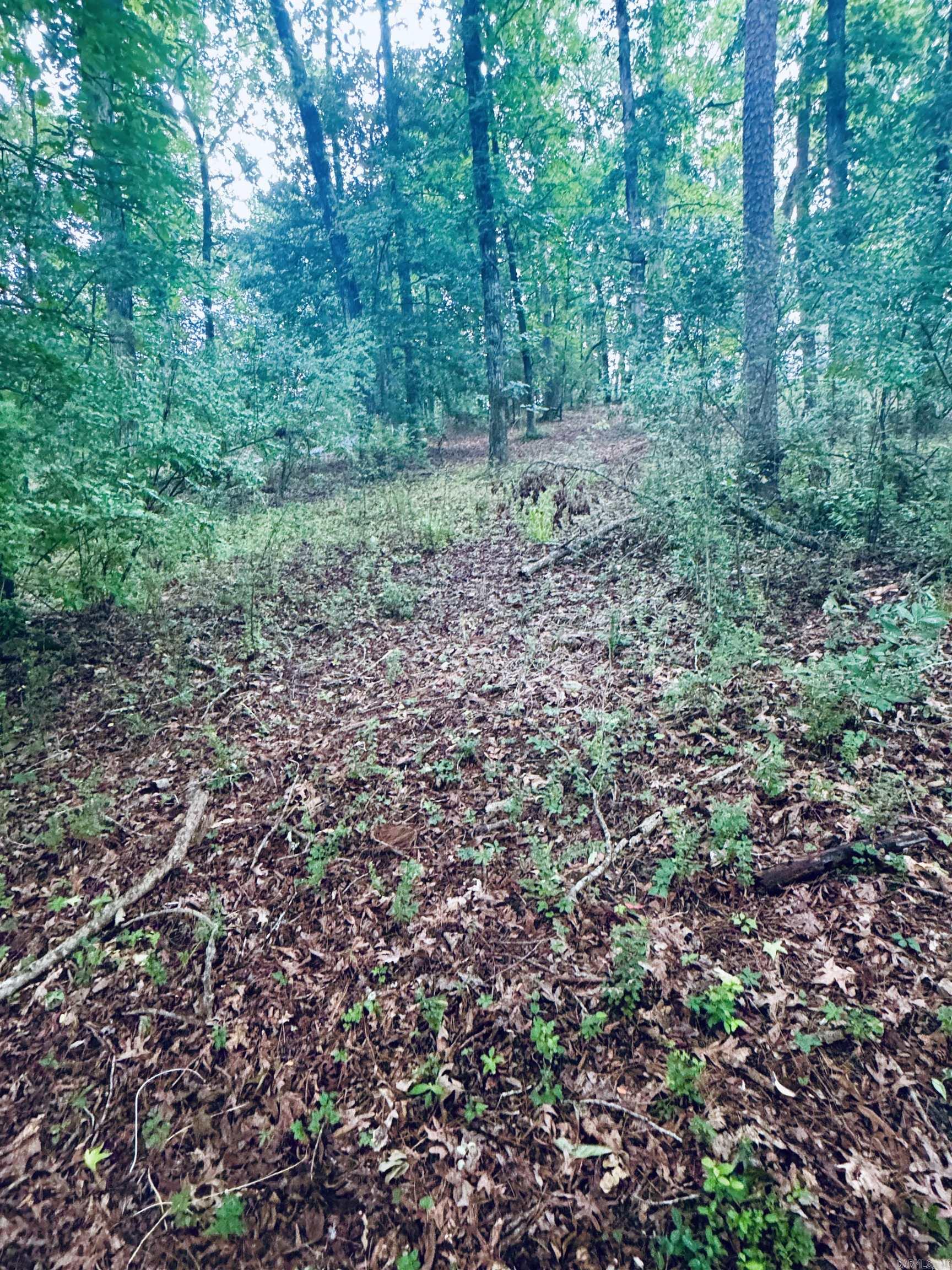 122 Mesa  Hot Springs National Park, AR