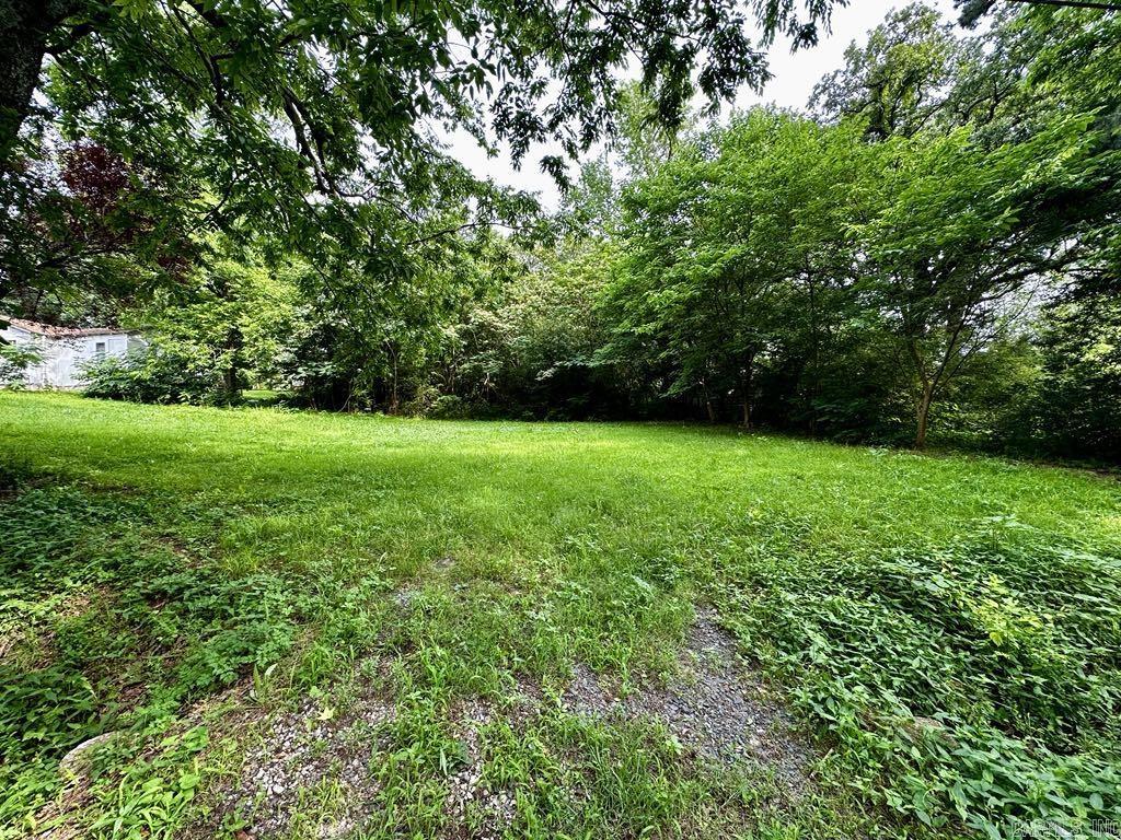 1101 S Ninth  Mena, AR
