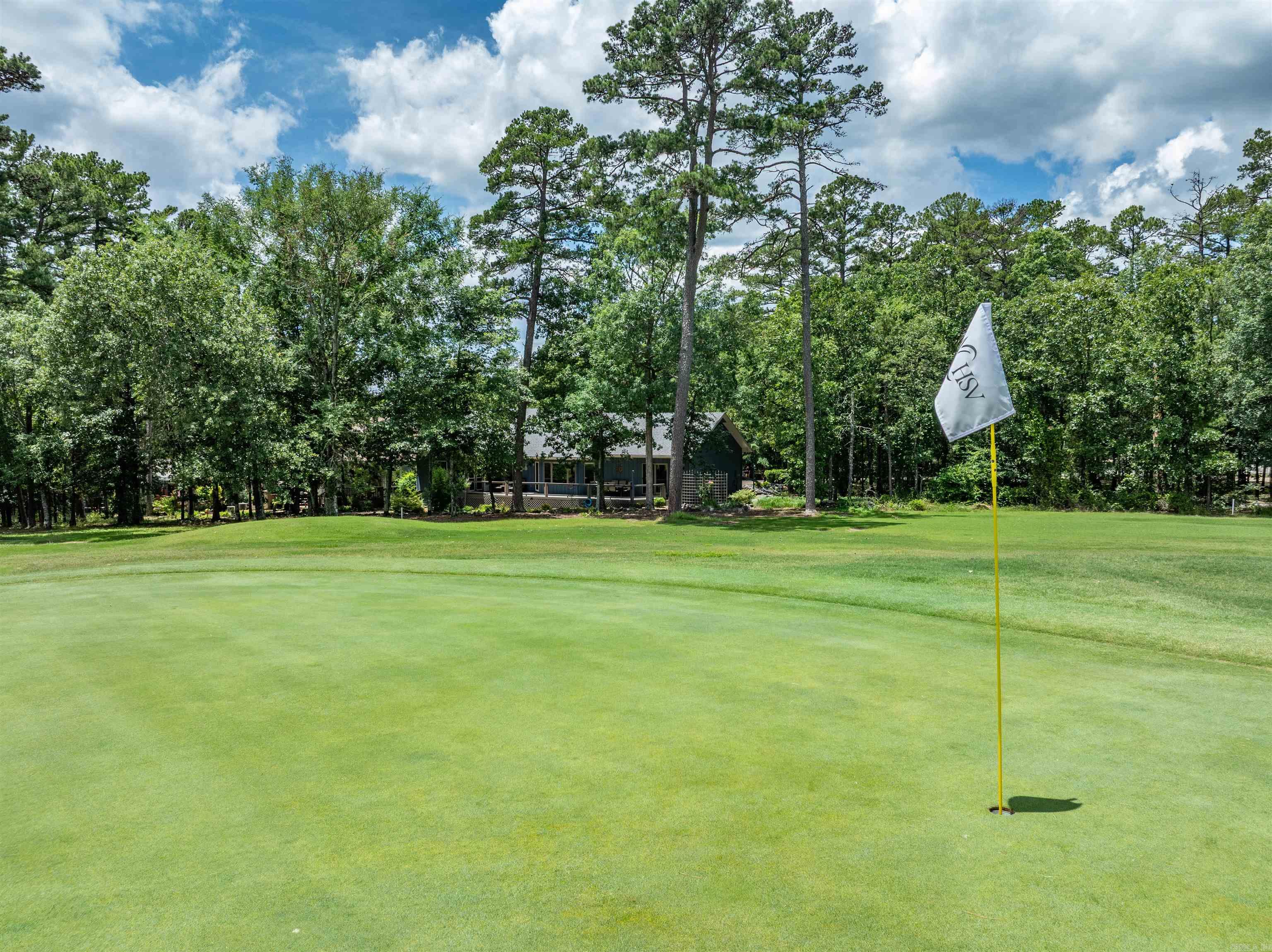 54 Ferdinand  Hot Springs Village, AR