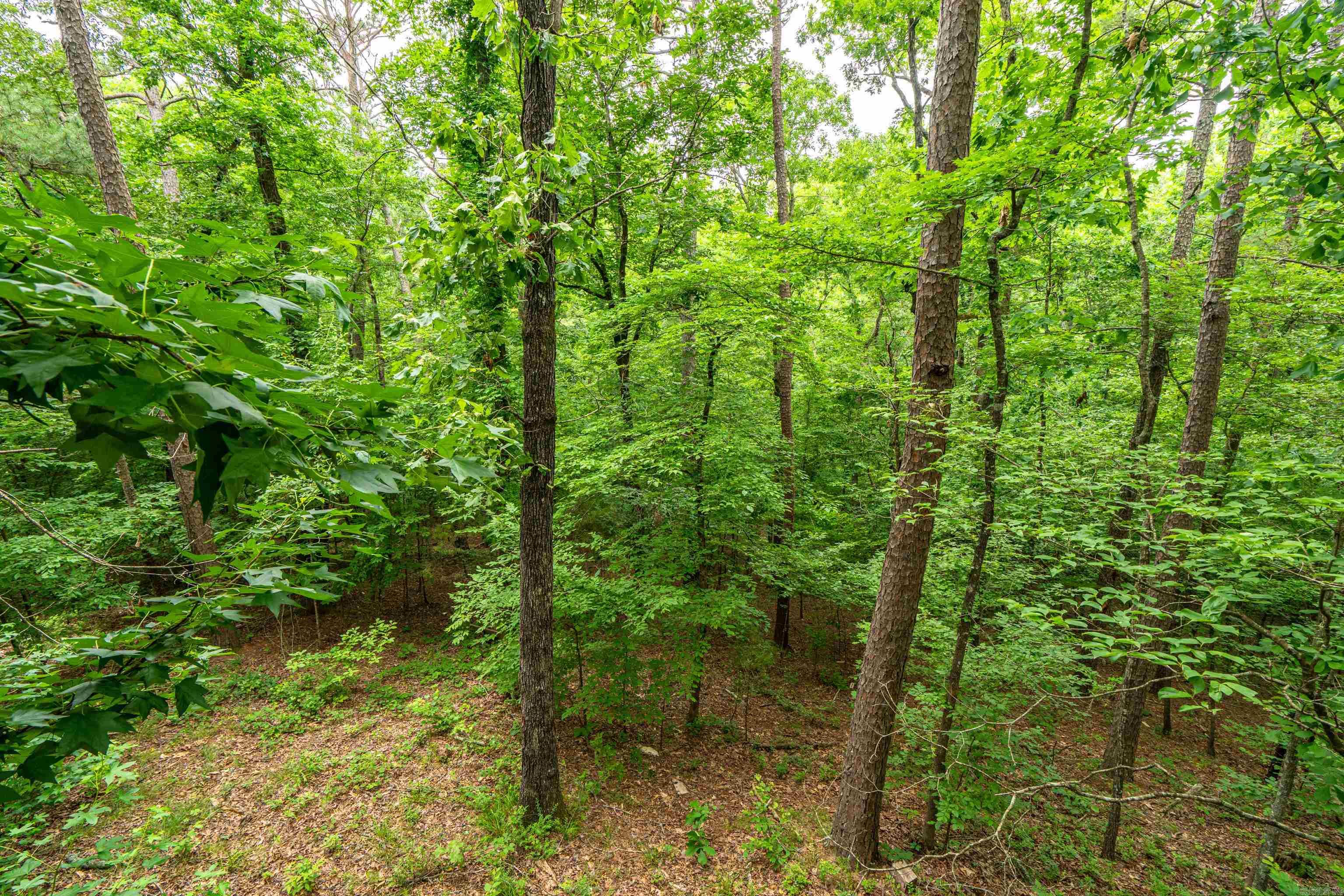 111 Black Oak  Hot Springs, AR