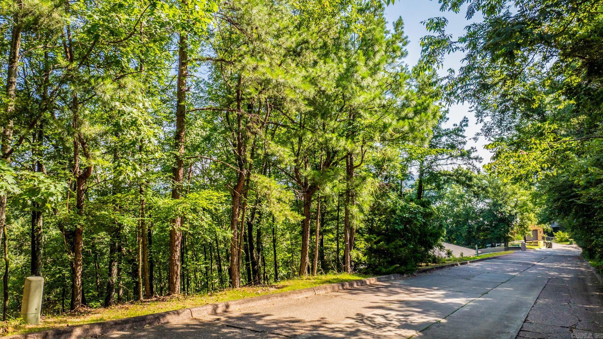 Lot 17 River Ridge Pointe  Little Rock, AR