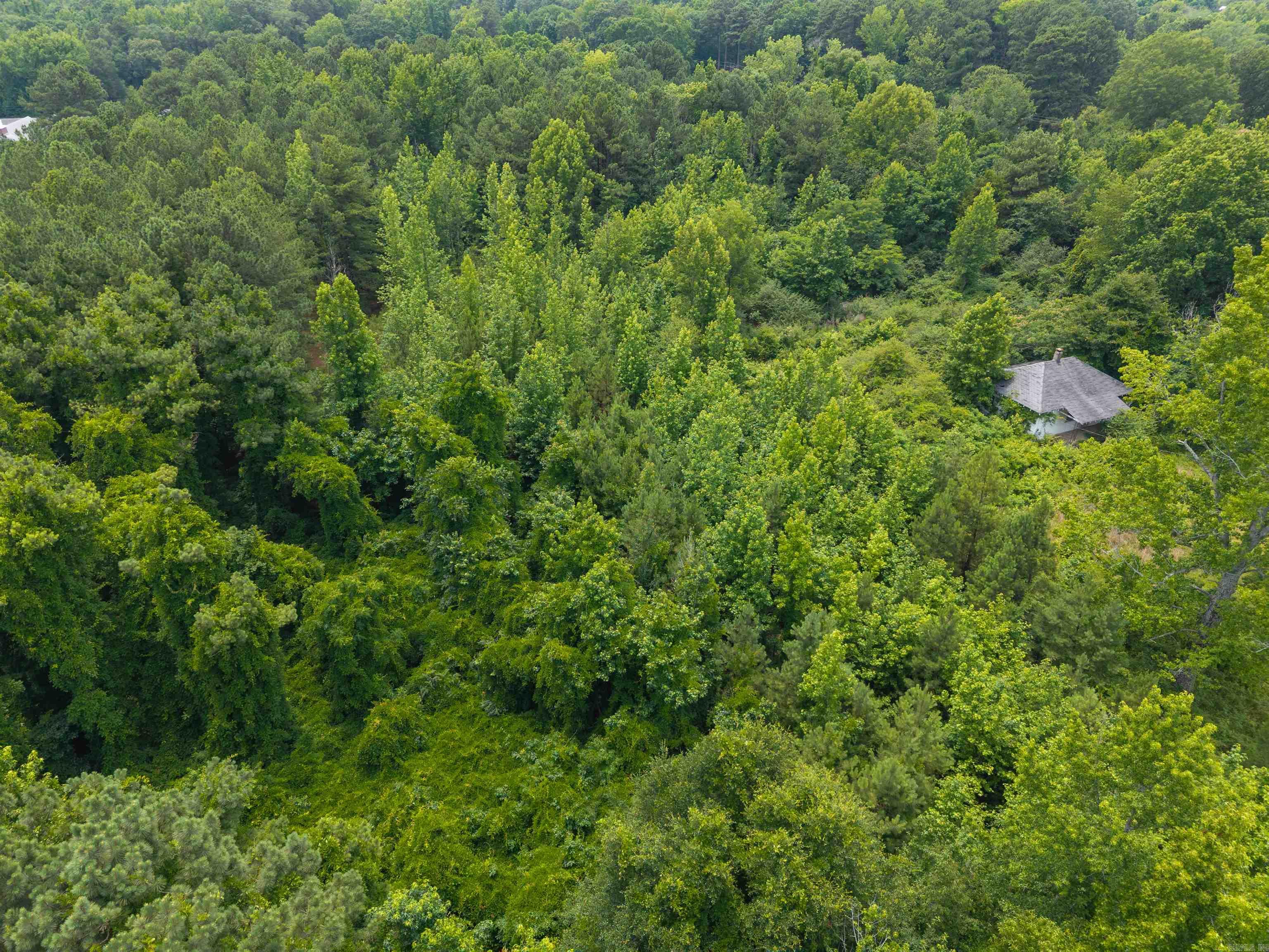 2914 & 2918 Wilbern  Little Rock, AR
