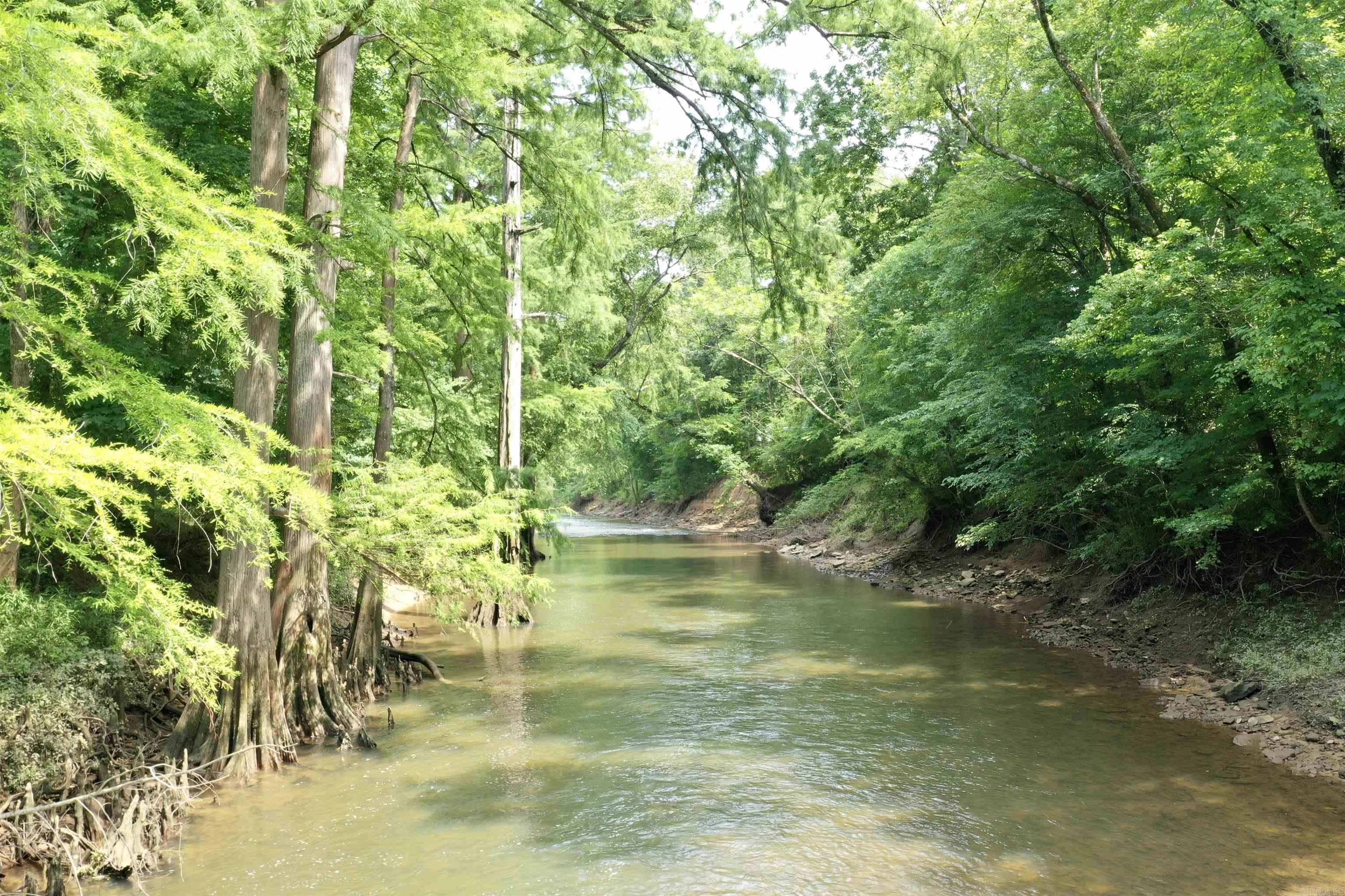 425 Sunshine  Pangburn, AR