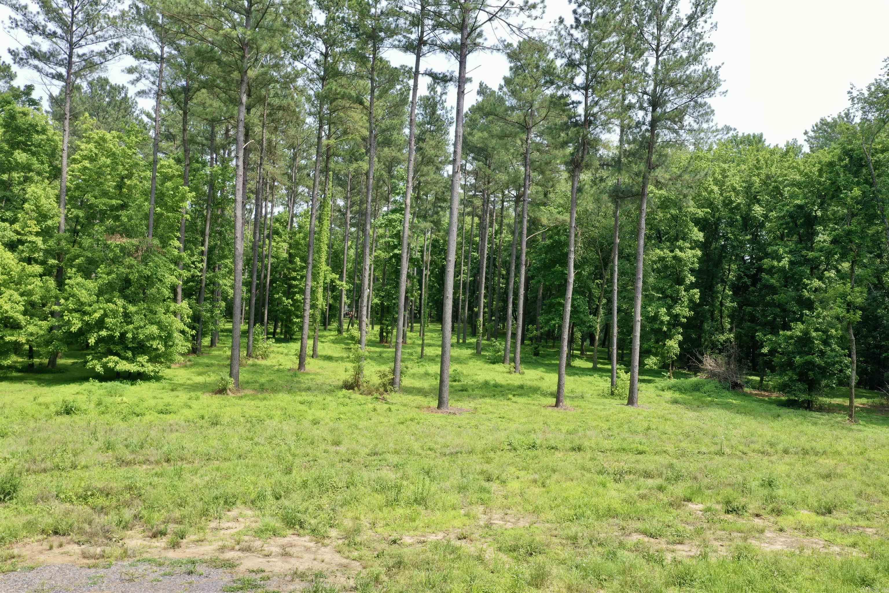 425 Sunshine  Pangburn, AR
