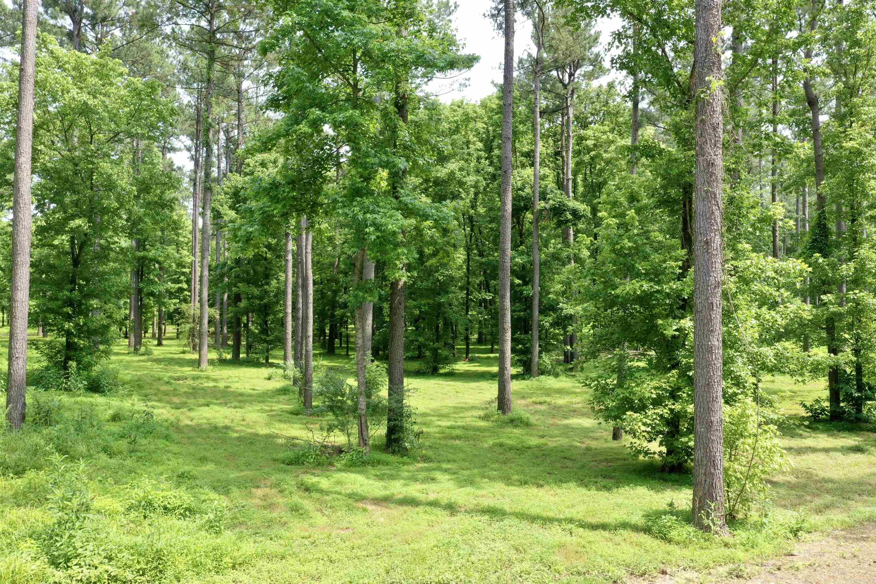 425 Sunshine  Pangburn, AR