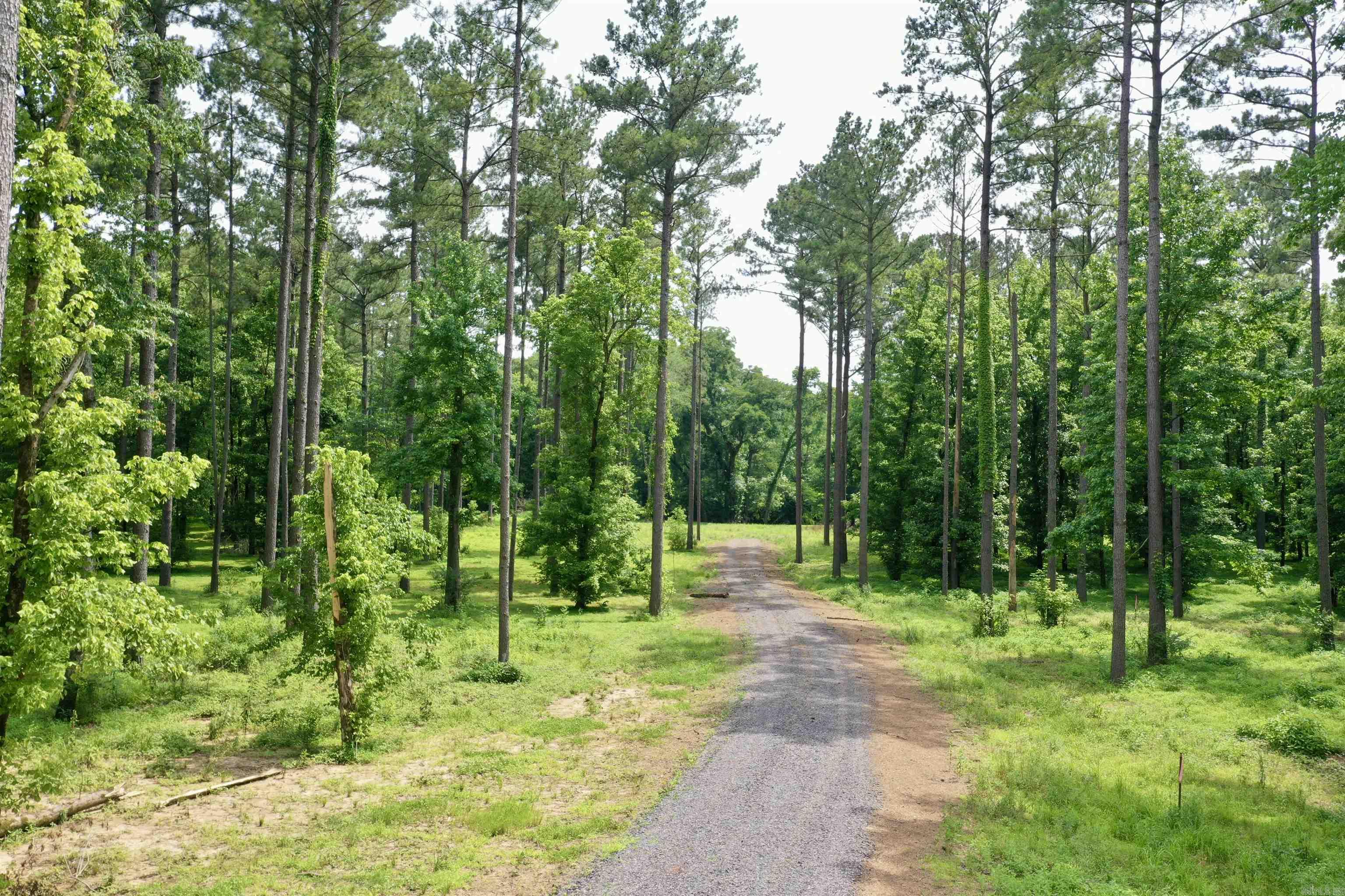 425 Sunshine  Pangburn, AR