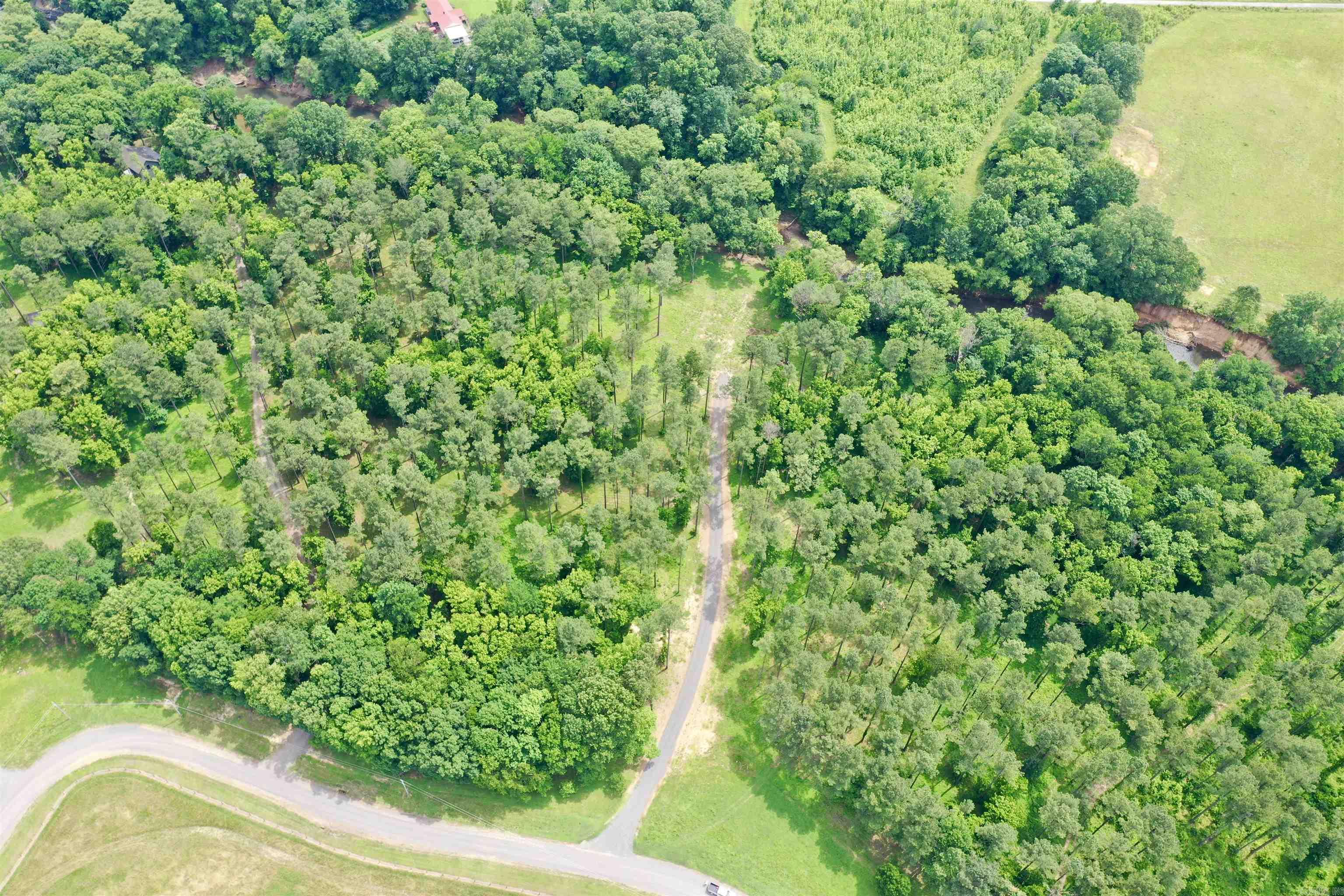 425 Sunshine  Pangburn, AR