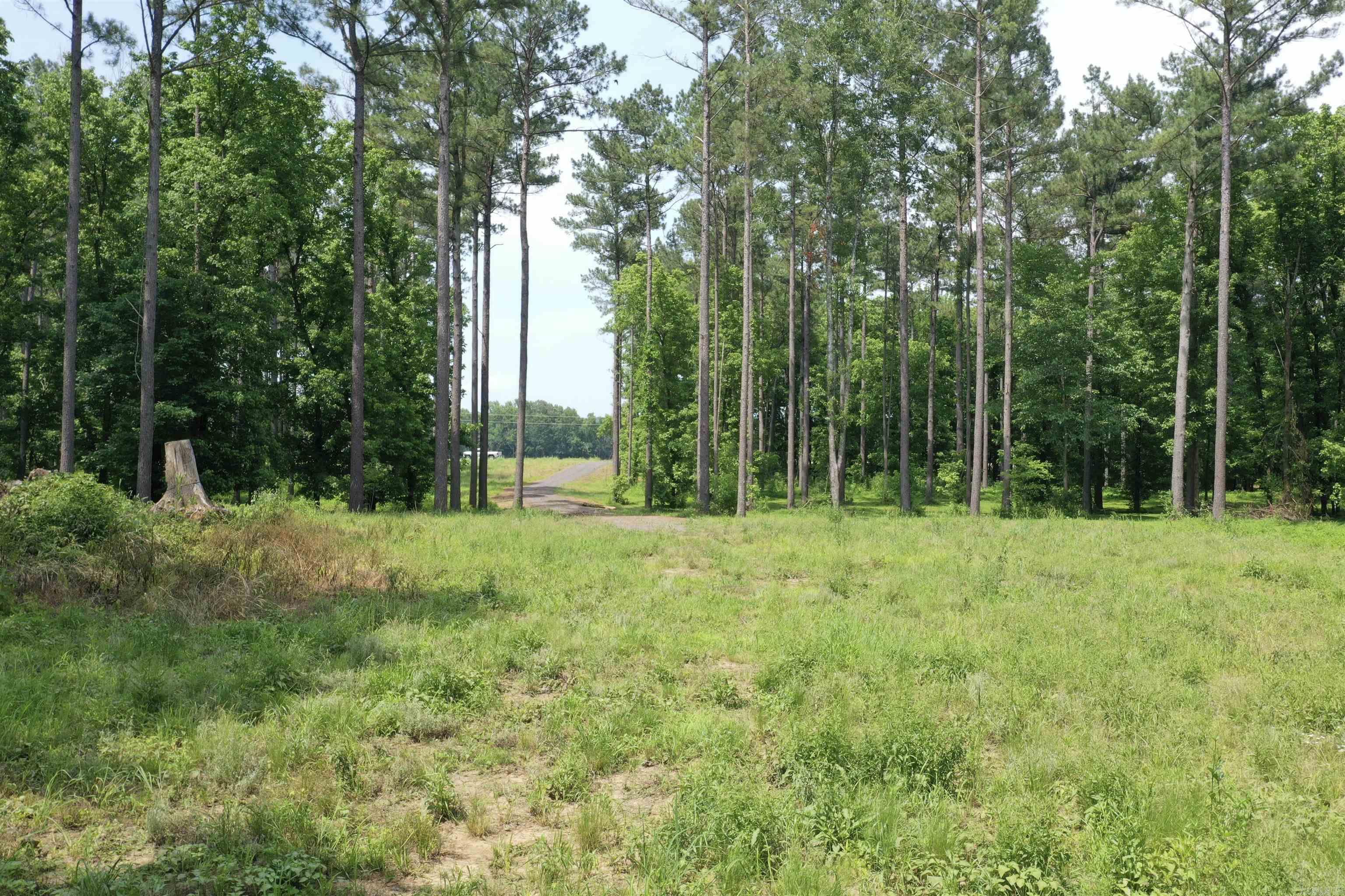 425 Sunshine  Pangburn, AR