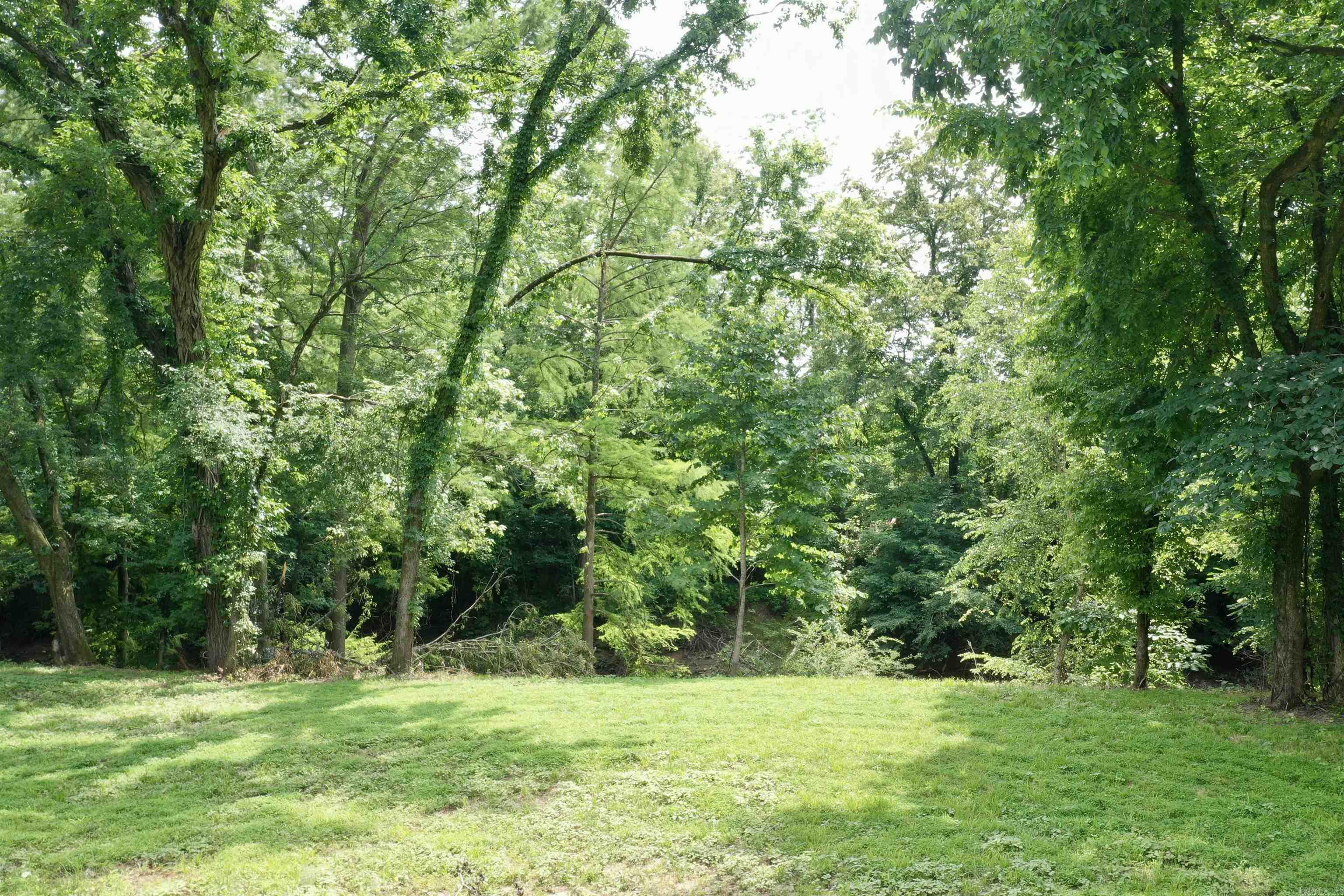 425 Sunshine  Pangburn, AR