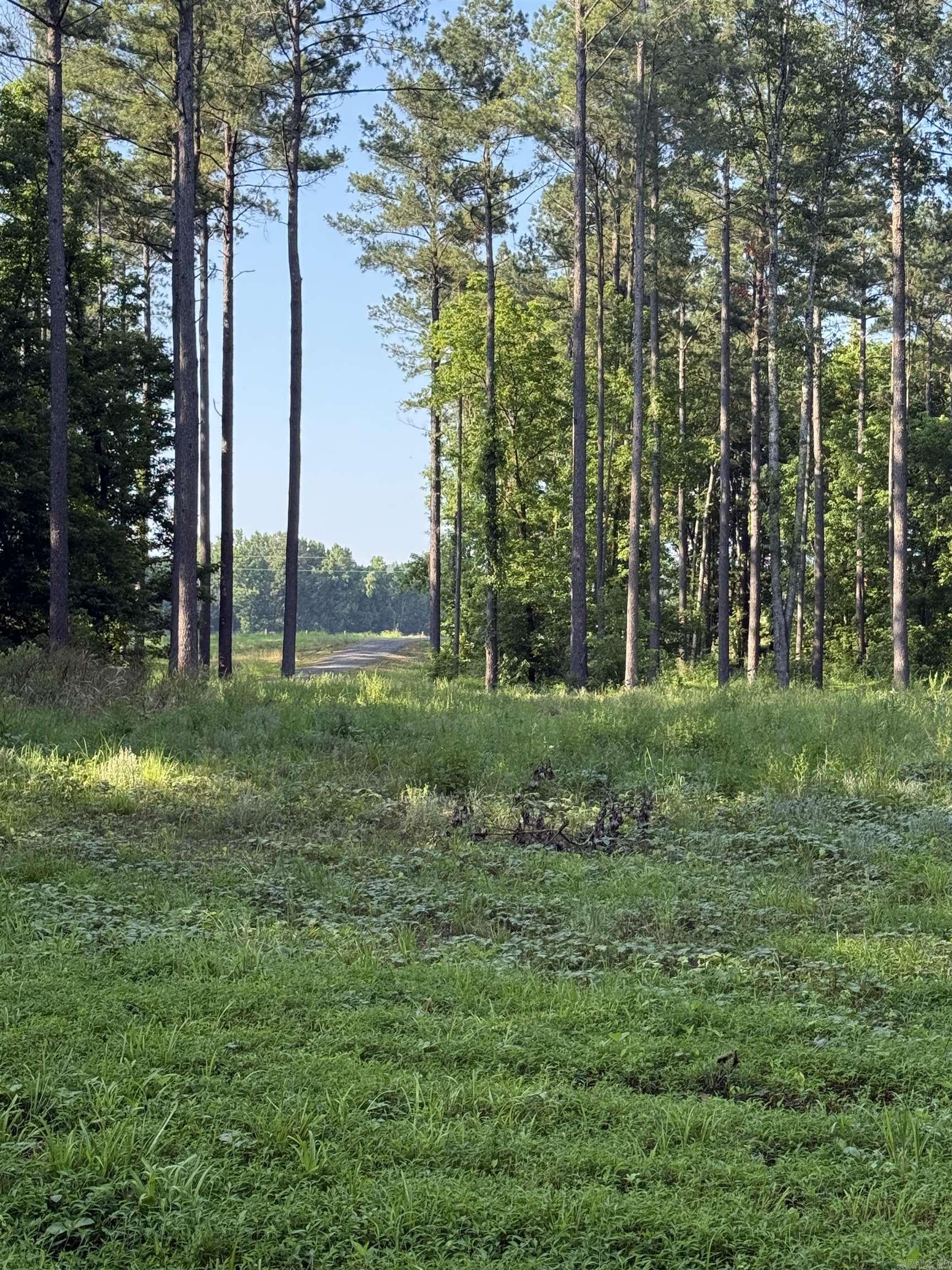 425 Sunshine  Pangburn, AR