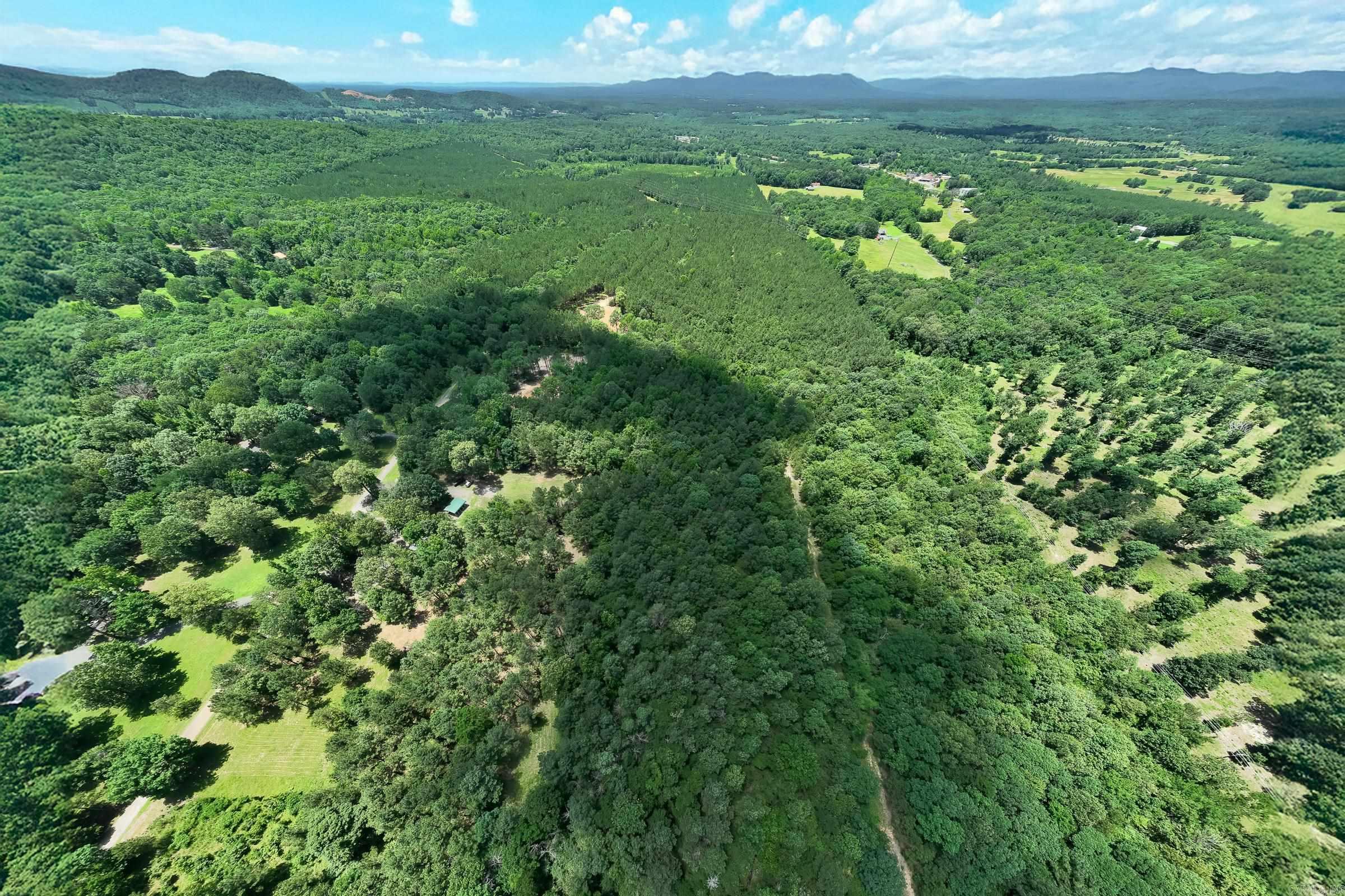 172 Susie Ln  Mena, AR