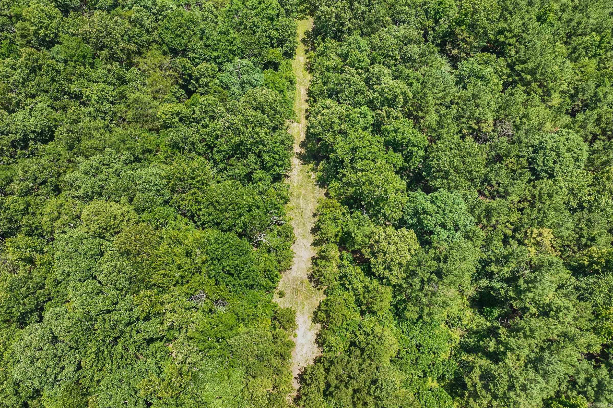 172 Susie Ln  Mena, AR