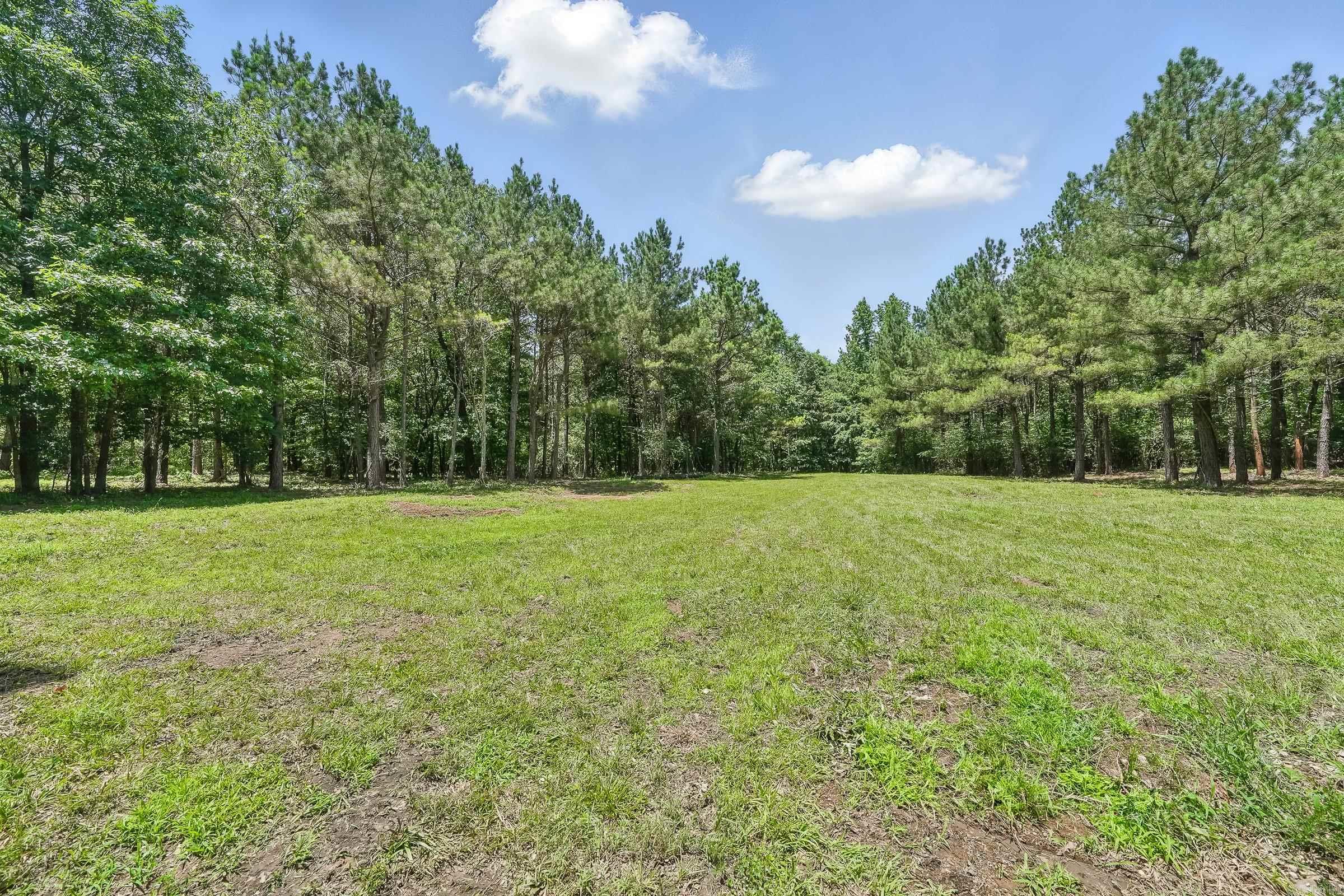 172 Susie Ln  Mena, AR