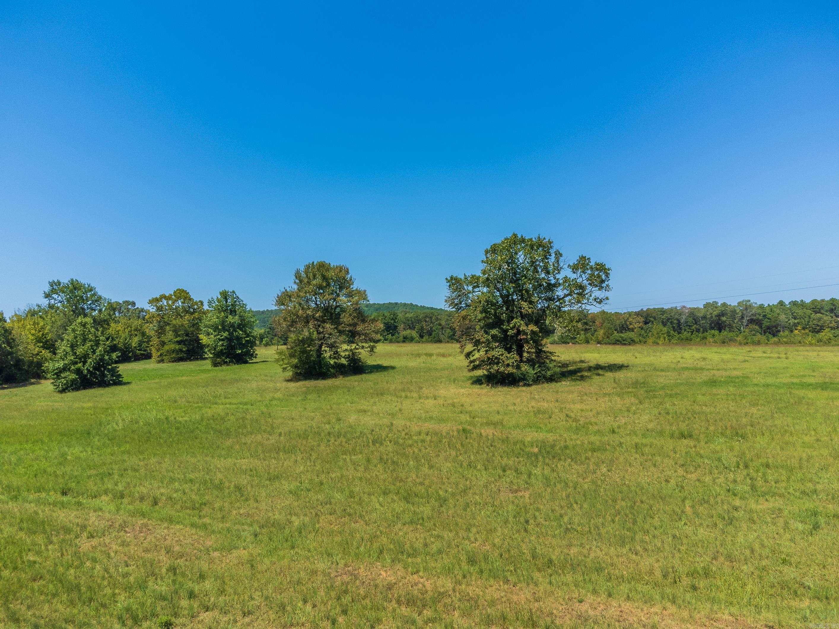 00 Boone Lane  Bee Branch, AR