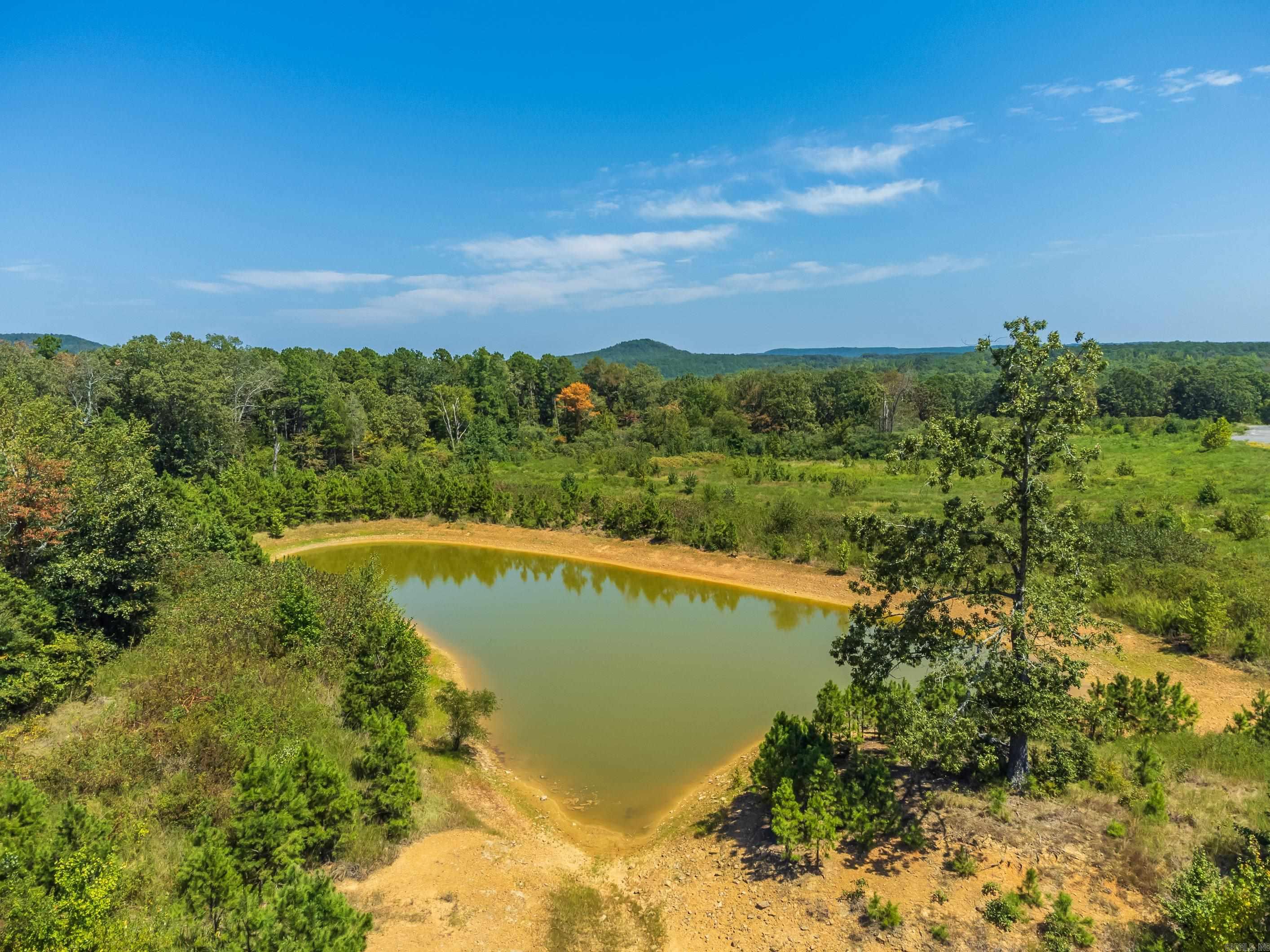 00 Boone Lane  Bee Branch, AR