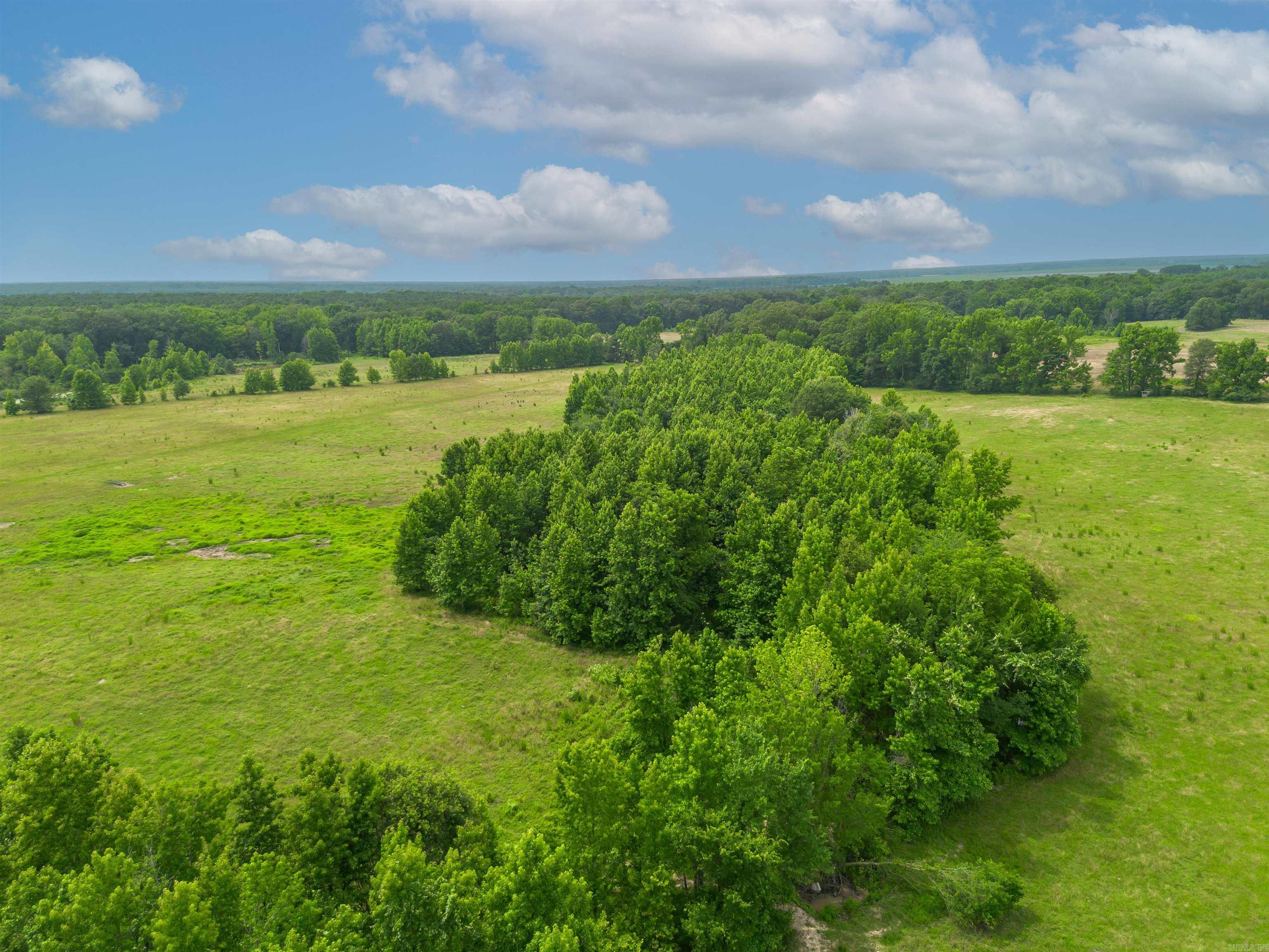 2652 Doug Jackson  Carlisle, AR