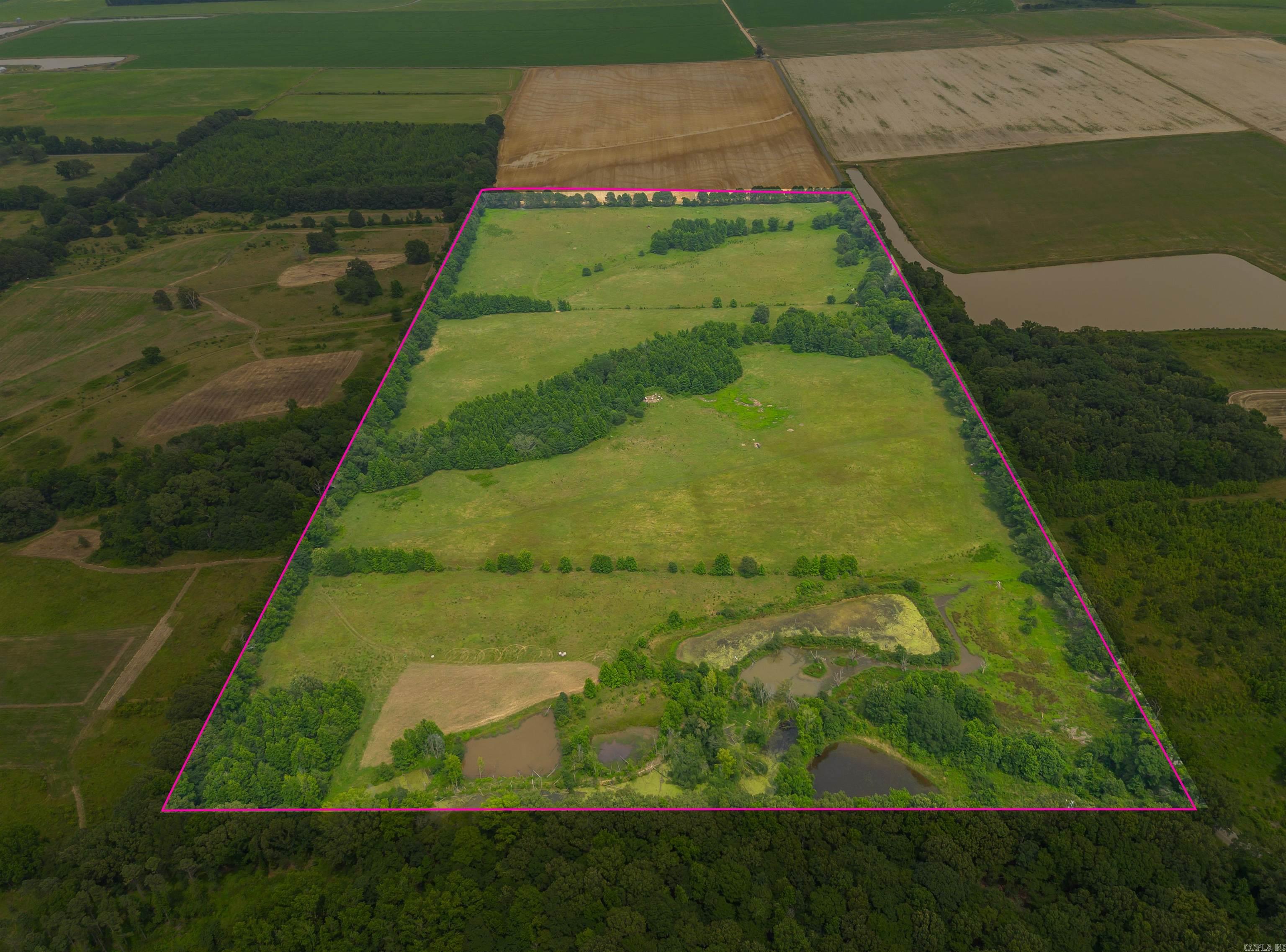 2652 Doug Jackson  Carlisle, AR