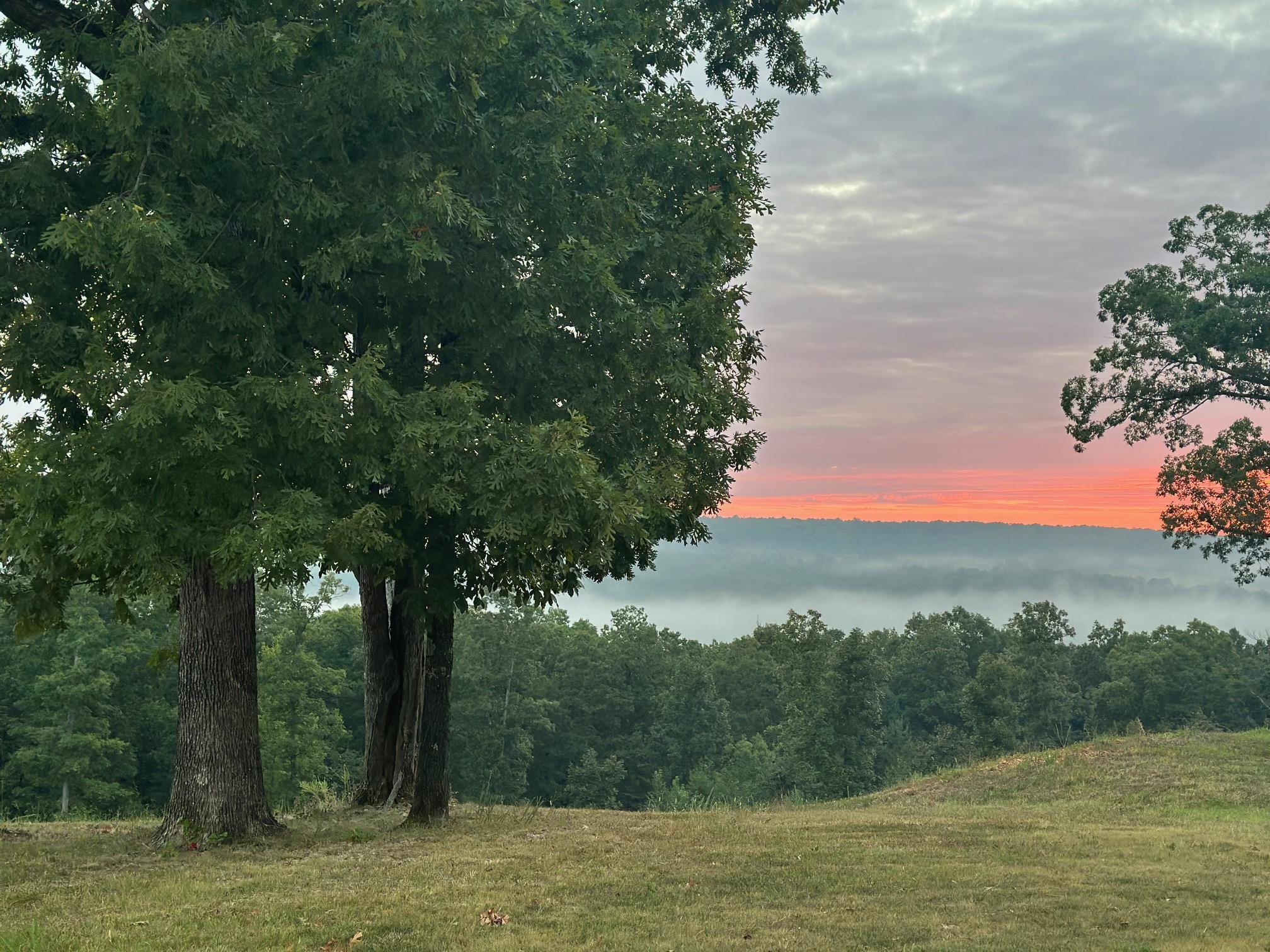 1852 Prince  Mountain View, AR