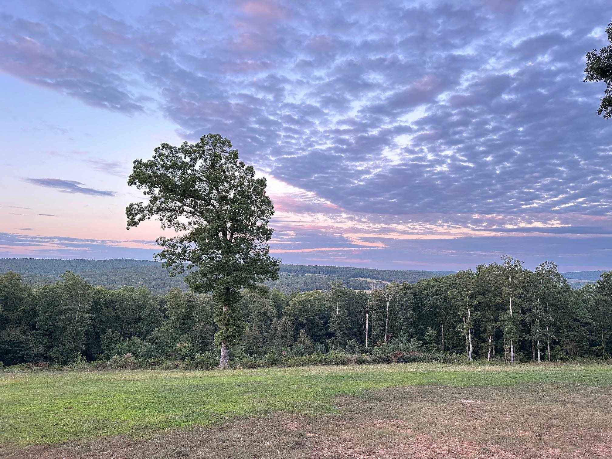 1852 Prince  Mountain View, AR