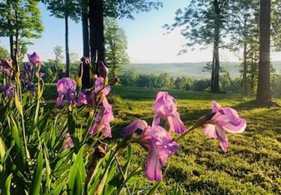 1852 Prince  Mountain View, AR