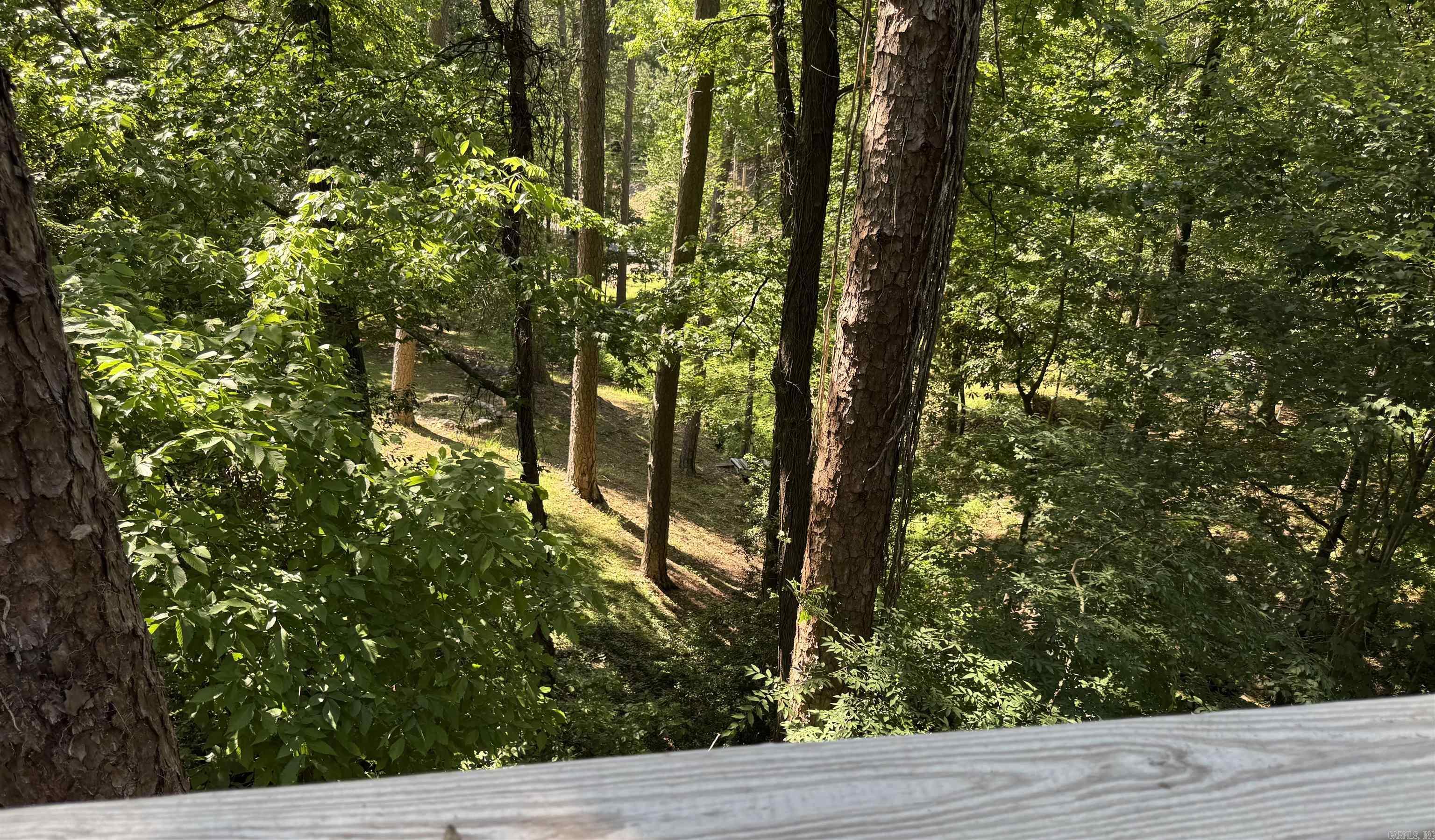 305 Ramble St  Hot Springs, AR