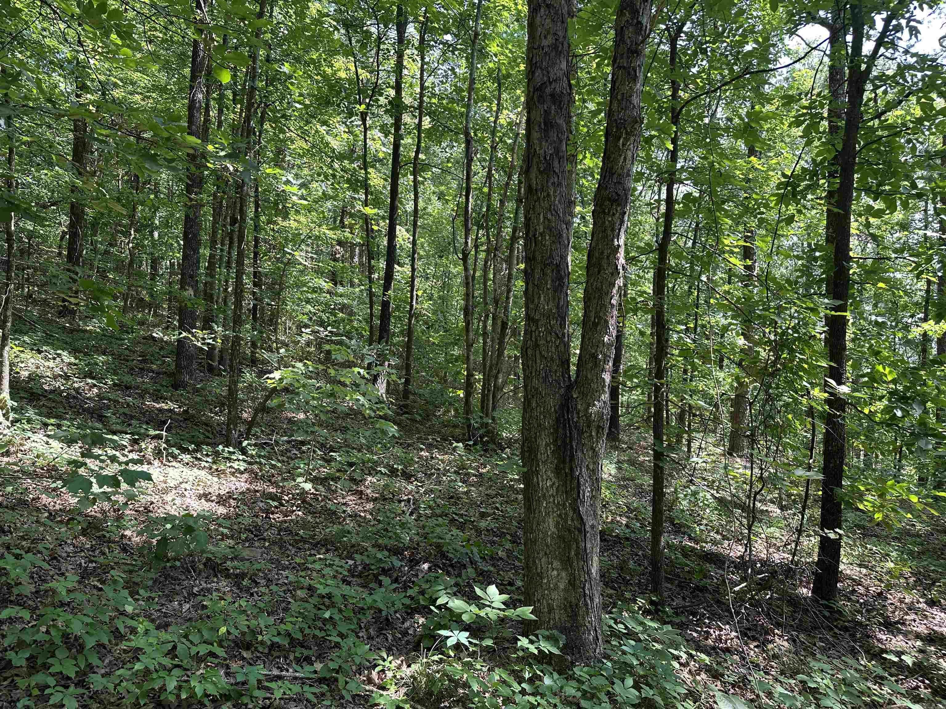 000 Hwy 110  Clinton, AR