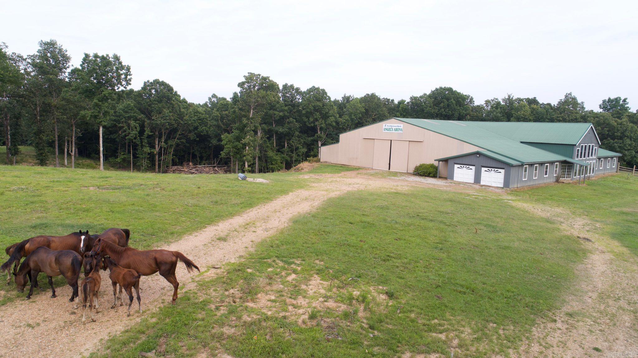 975 Sundance  Piggott, AR
