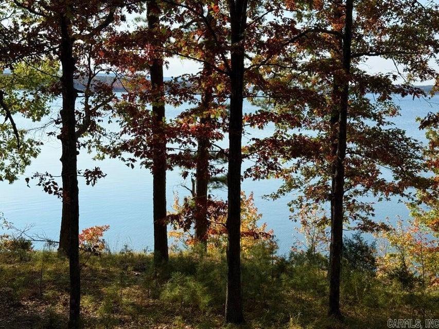 2740 Tannenbaum  Drasco, AR