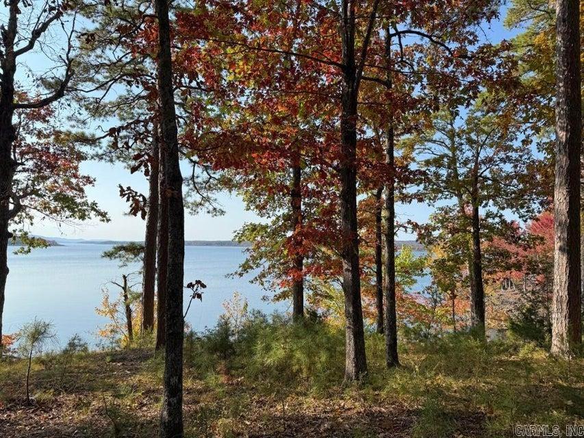 2740 Tannenbaum  Drasco, AR