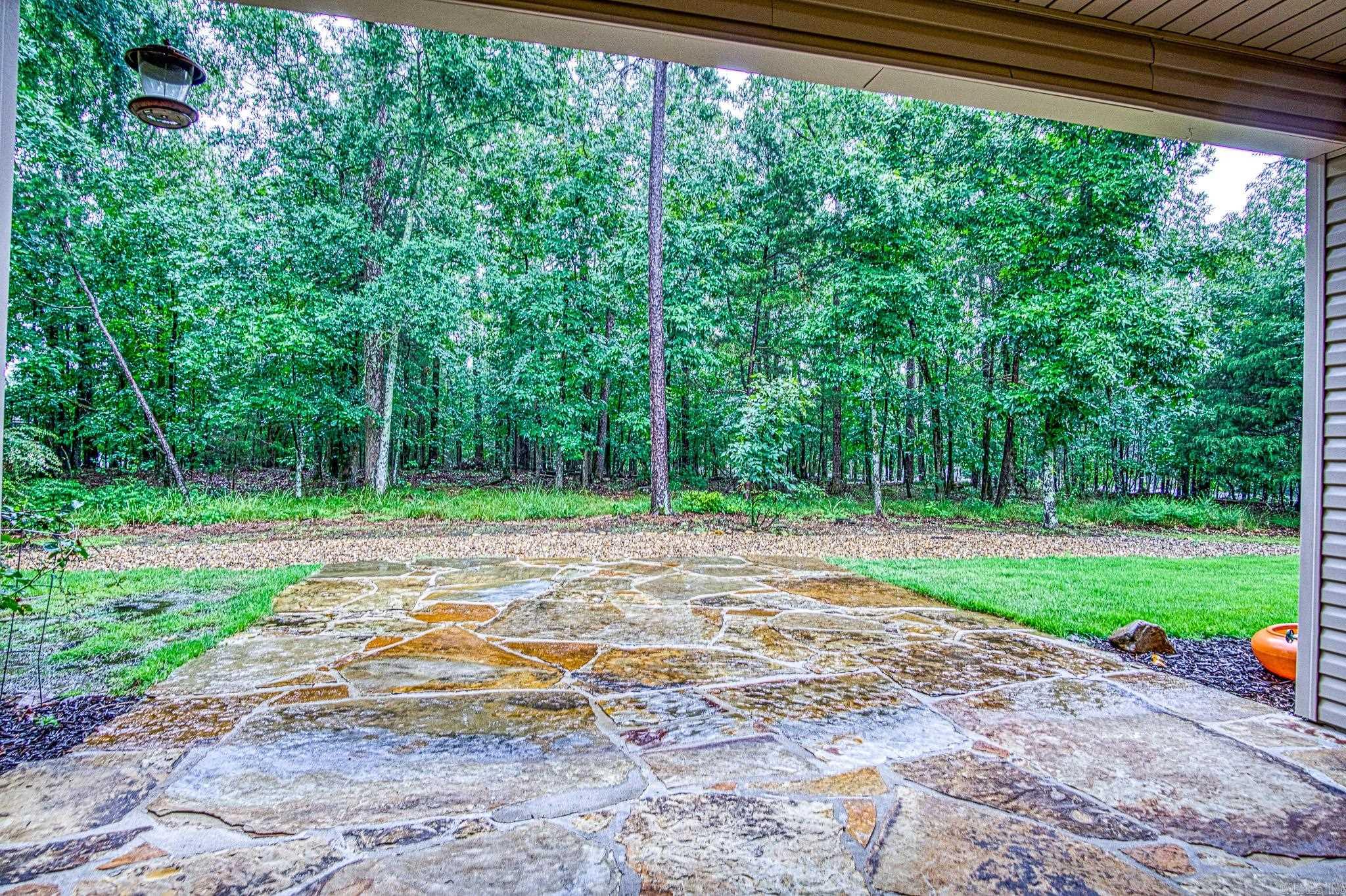 60 Promesa Drive  Hot Springs Village, AR