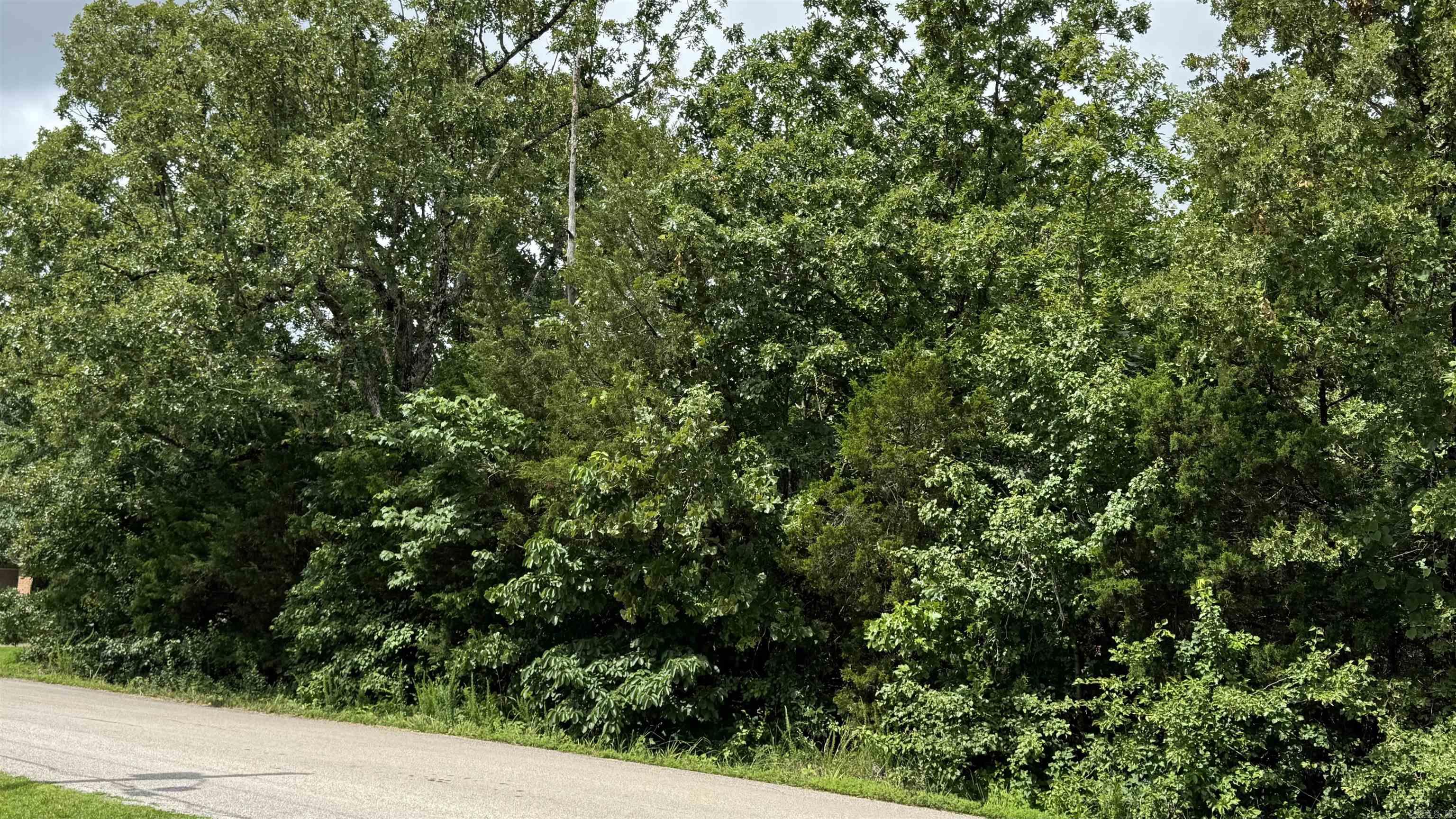 38 Pioneer Trail  Mountain Home, AR