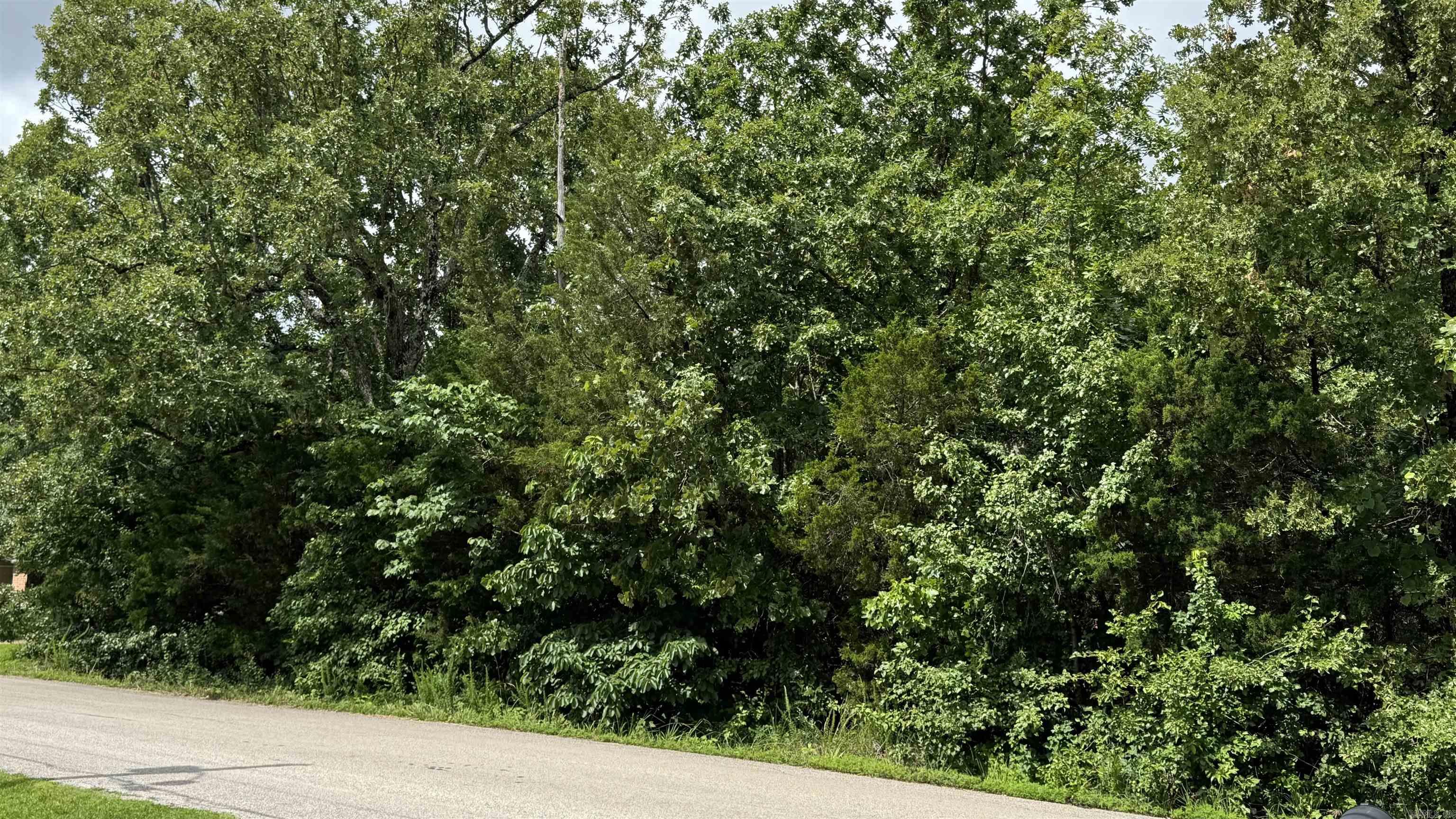 38 Pioneer Trail  Mountain Home, AR