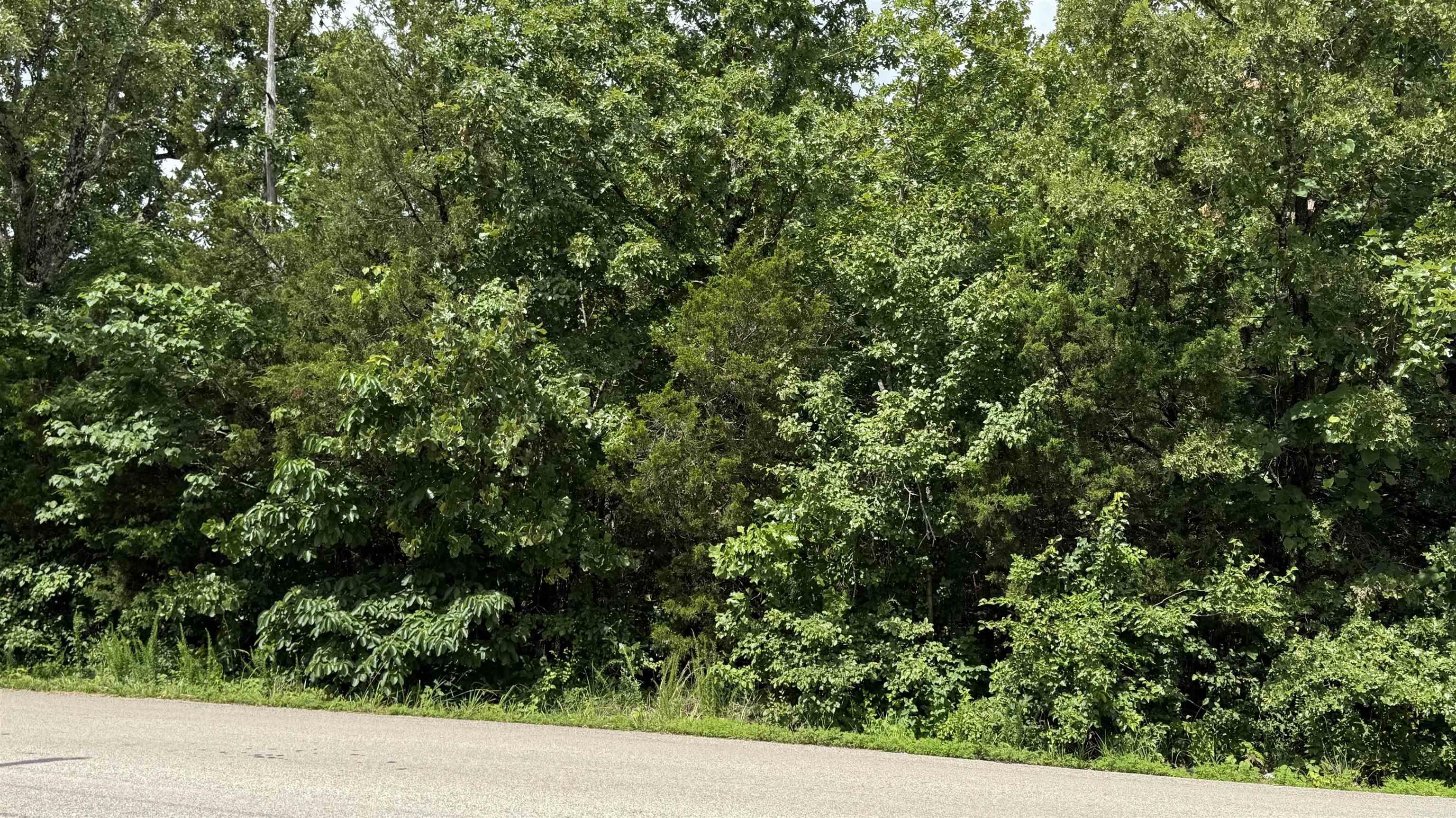 38 Pioneer Trail  Mountain Home, AR