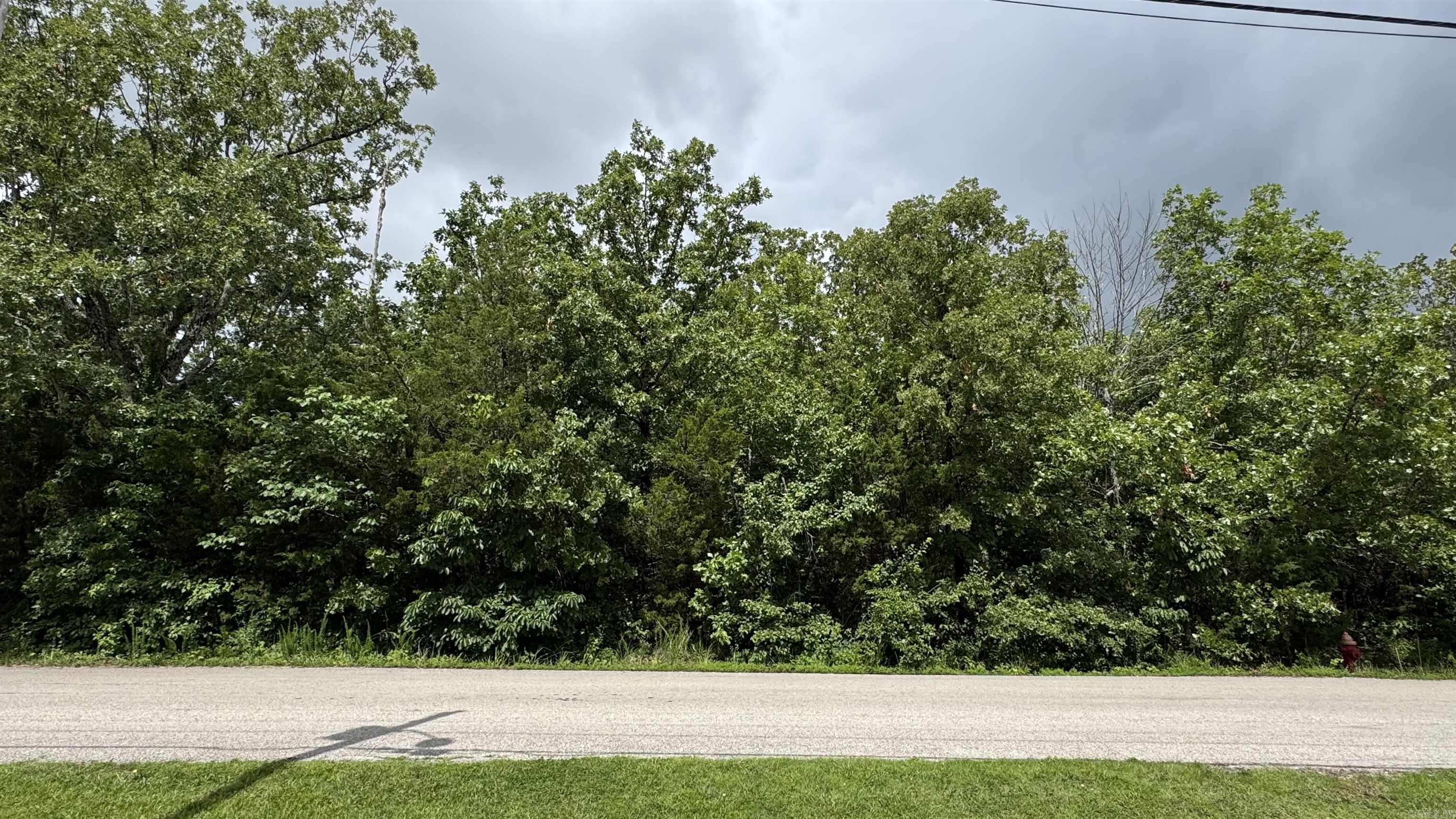 38 Pioneer Trail  Mountain Home, AR